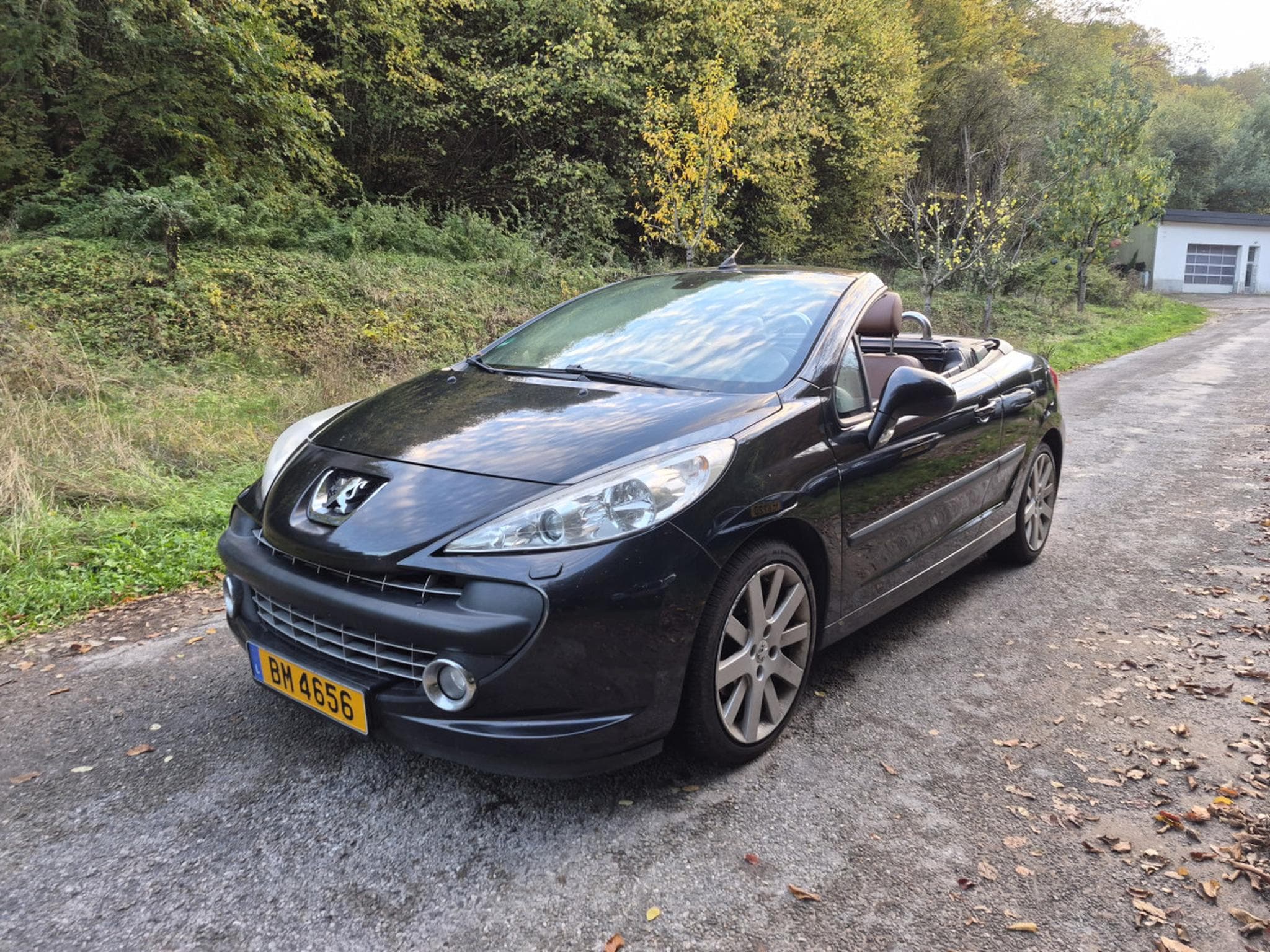 Peugeot 207 CC 1.6 (2007) - Photo 6
