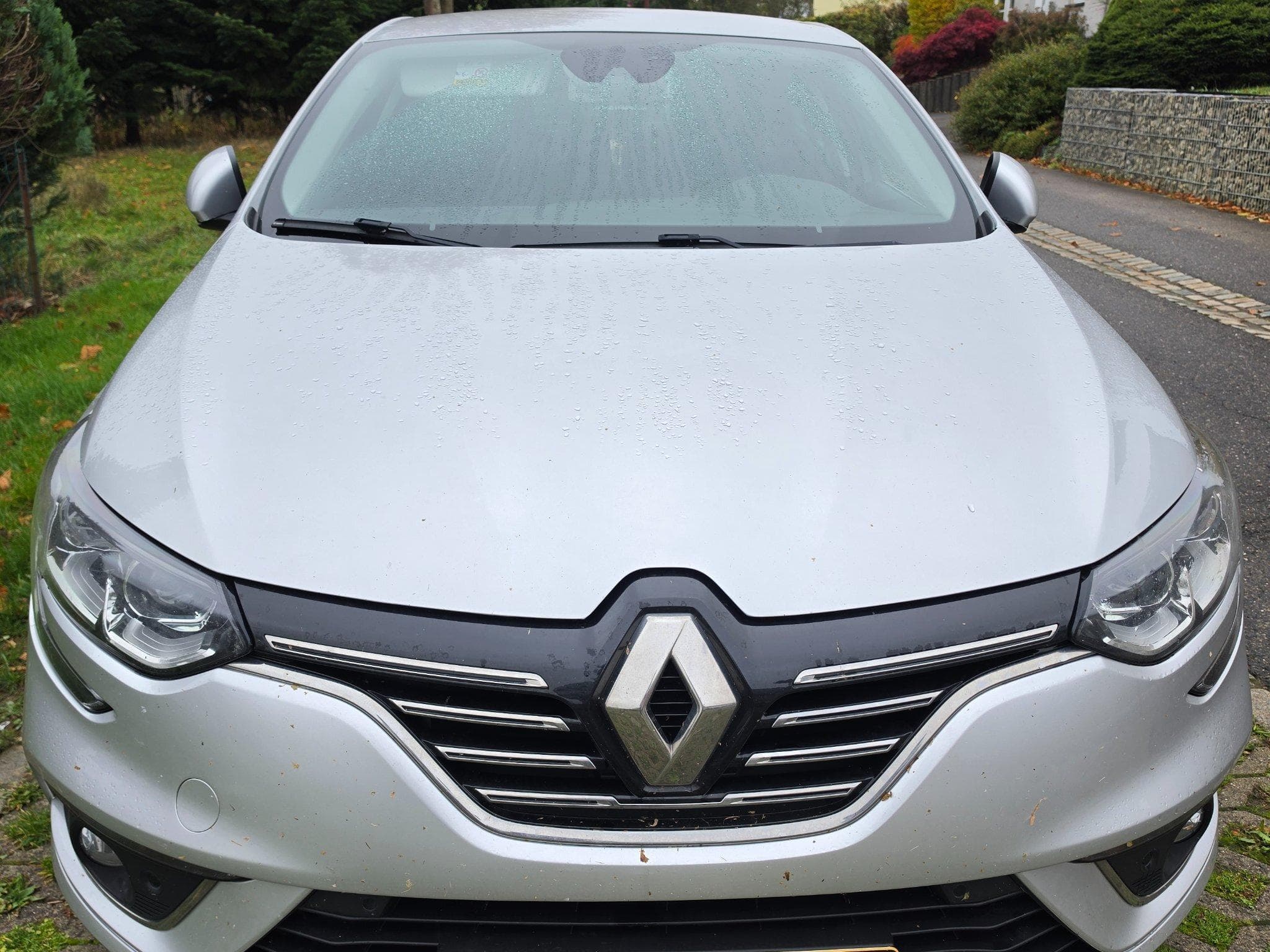 Renault Megane Bose Edition (2019) - Photo 1