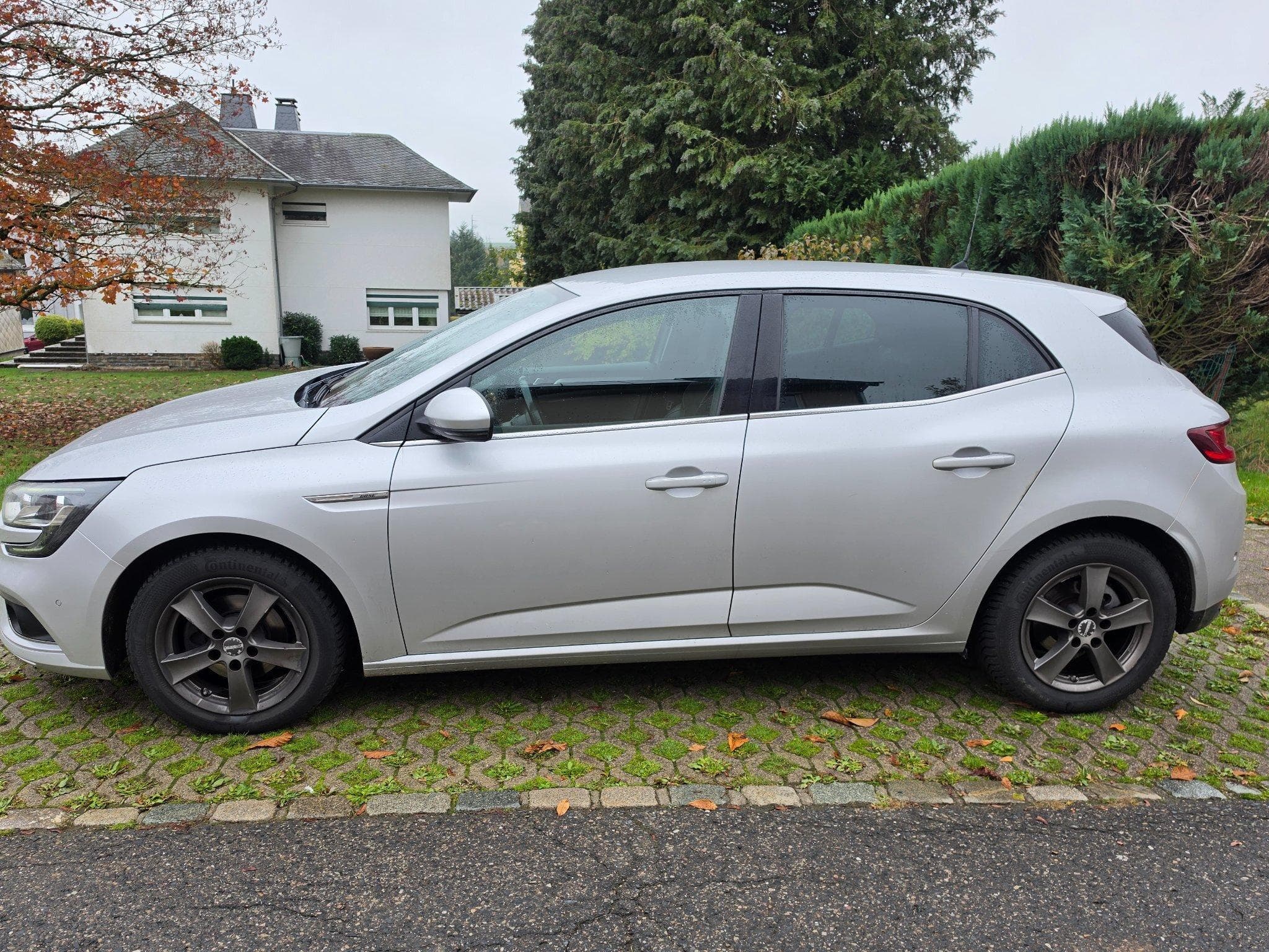 Renault Megane Bose Edition (2019) - Photo 2