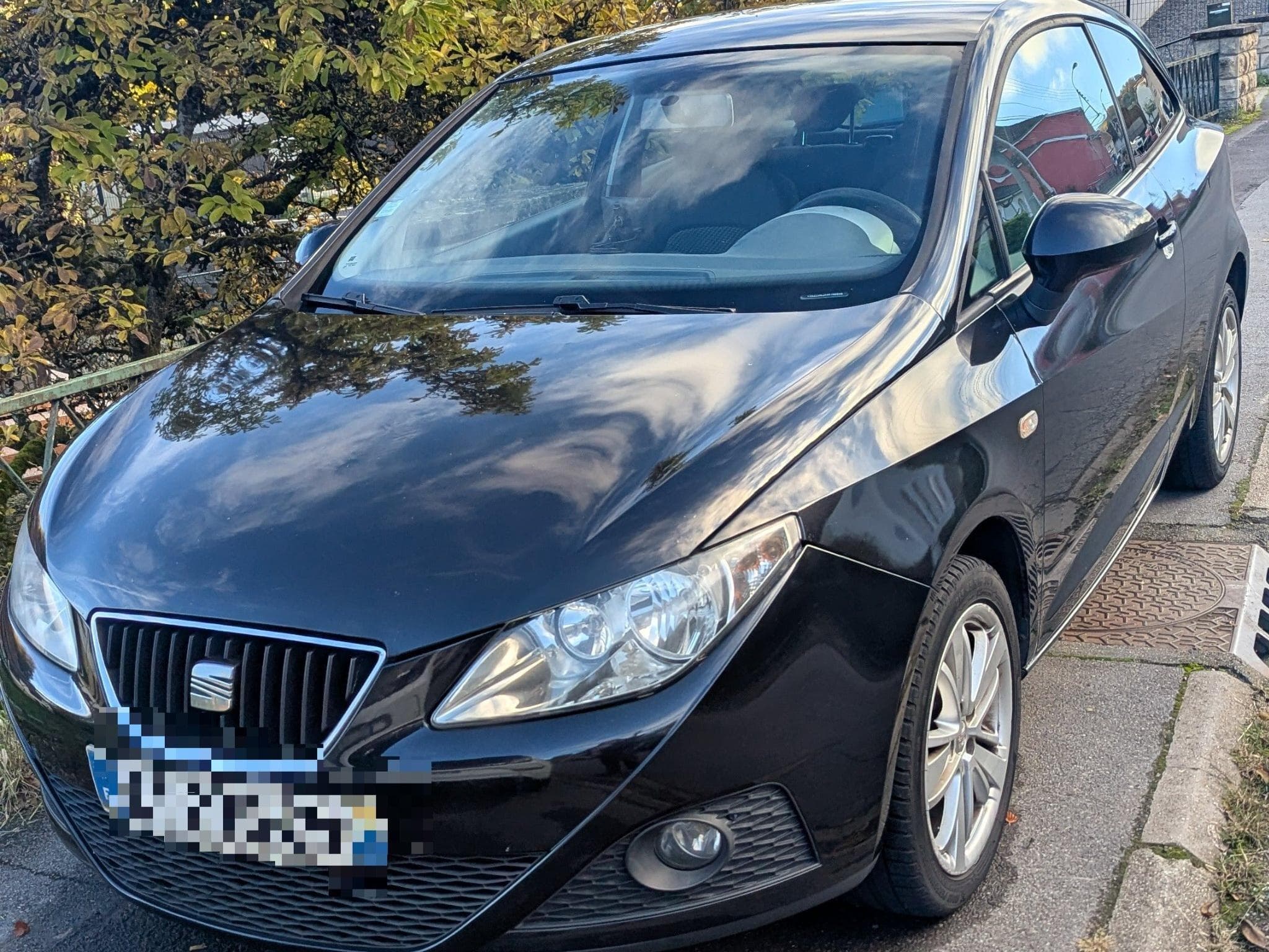 Seat Ibiza Good Stuff (2010) - Photo 1