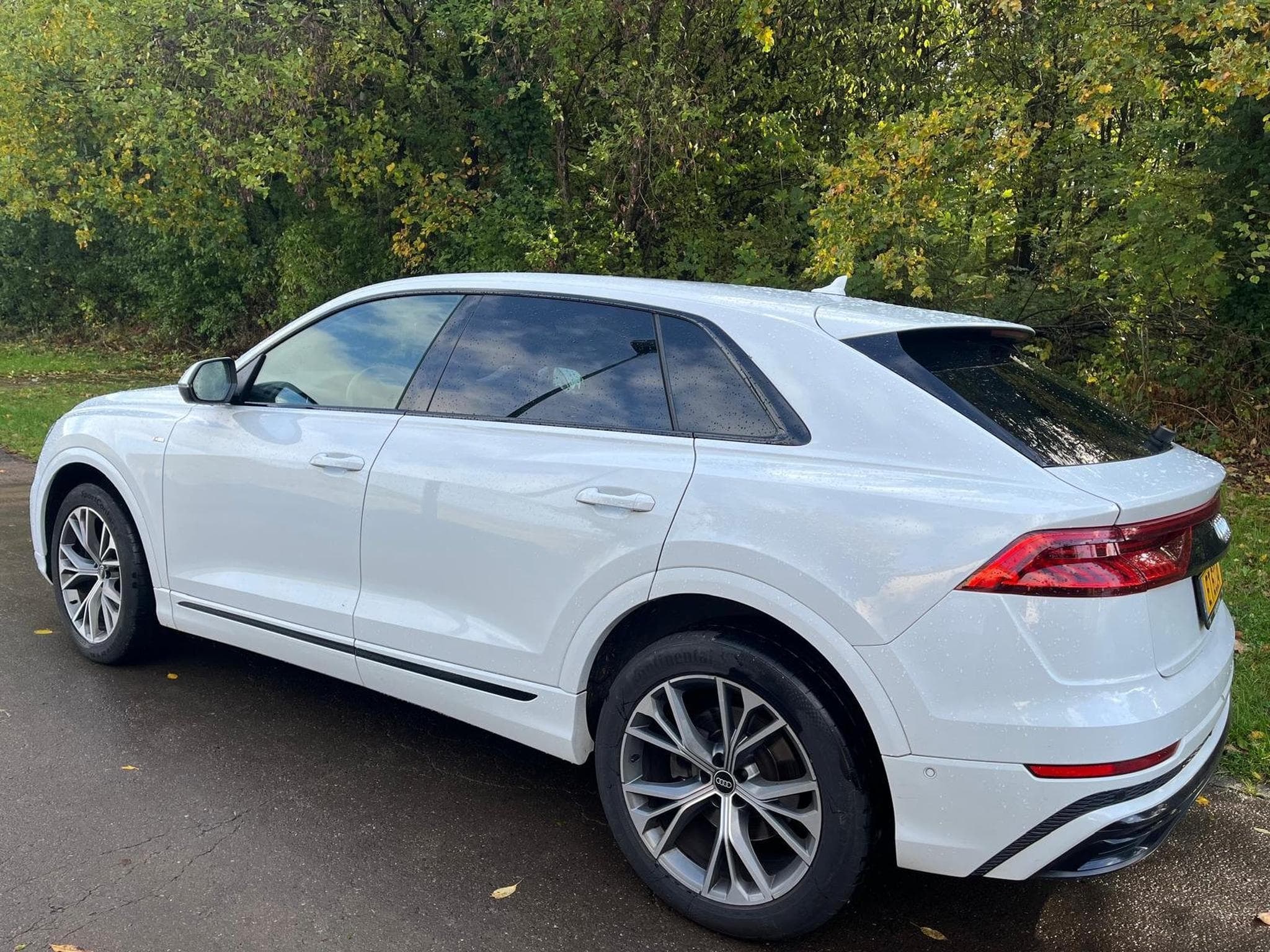 Audi Q8 S LINE (2022) - Photo 6
