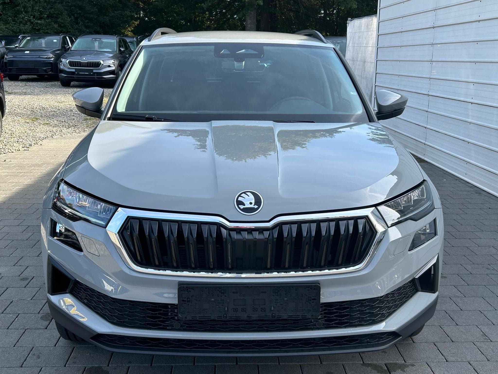 Skoda Karoq Selection (2026) - Photo 2