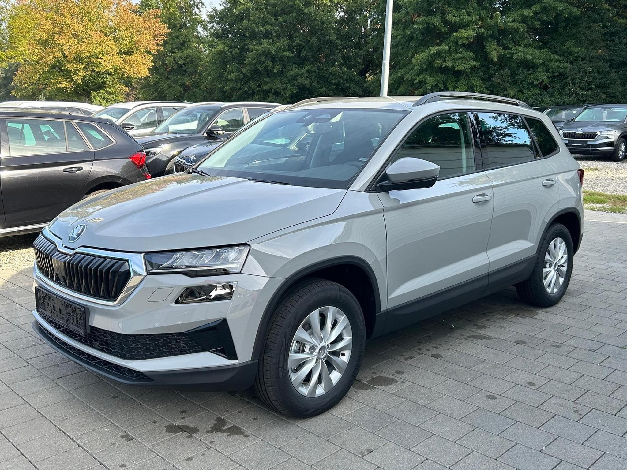 Skoda Karoq Selection (2026) - Photo 3