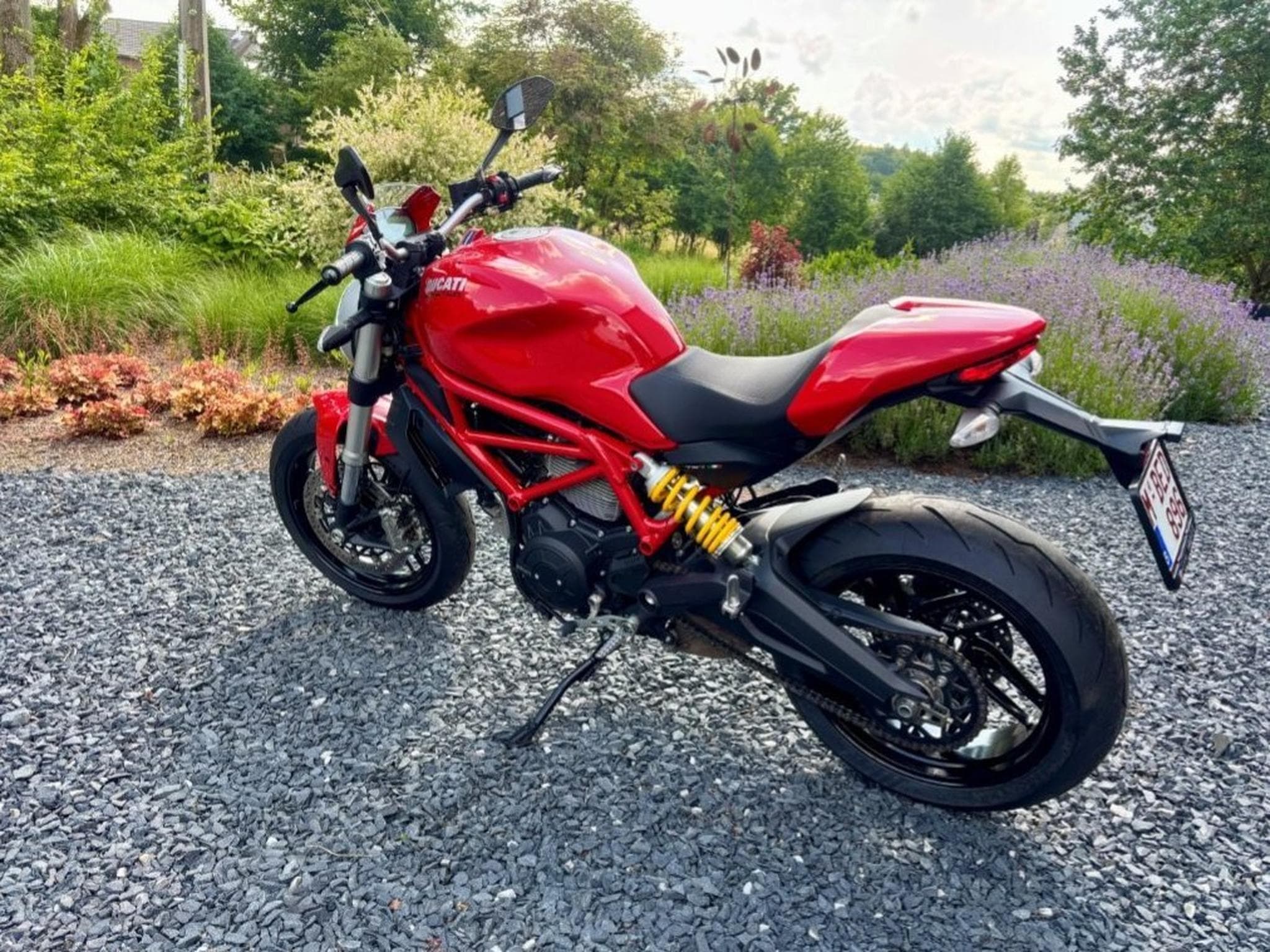 Ducati Monster 797 (2017) - Photo 2