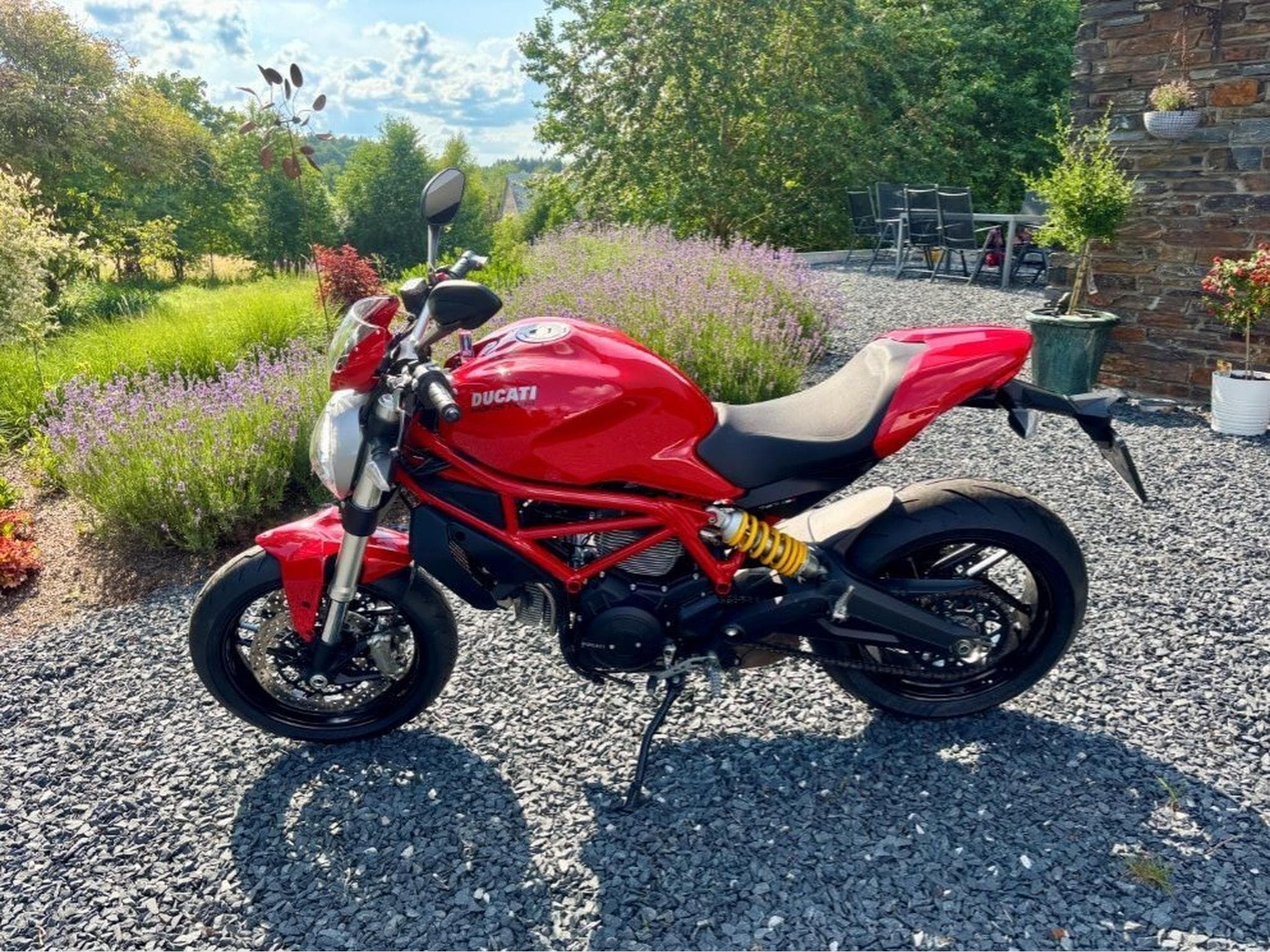 Ducati Monster 797 (2017) - Photo 3