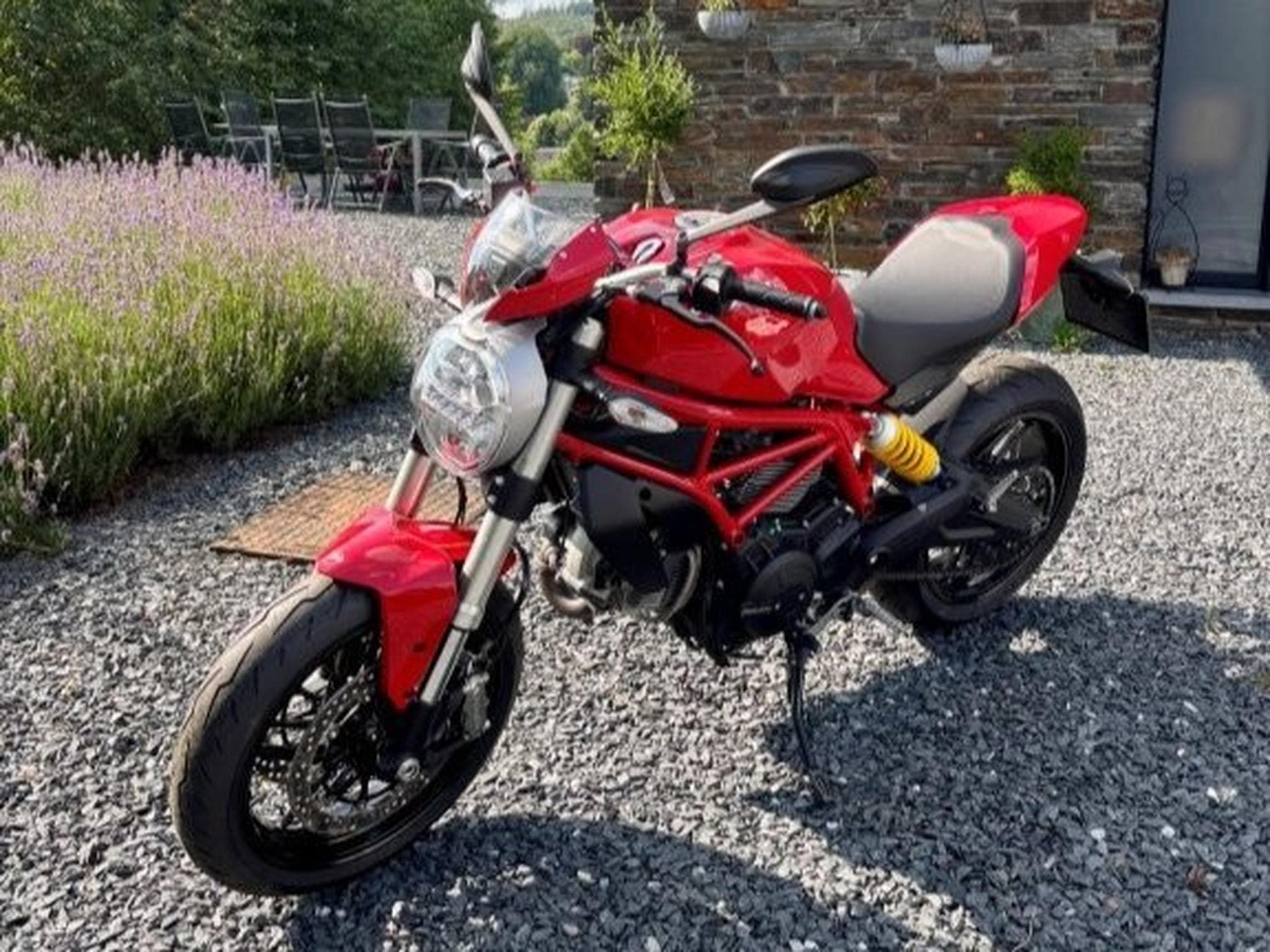 Ducati Monster 797 (2017) - Photo 5