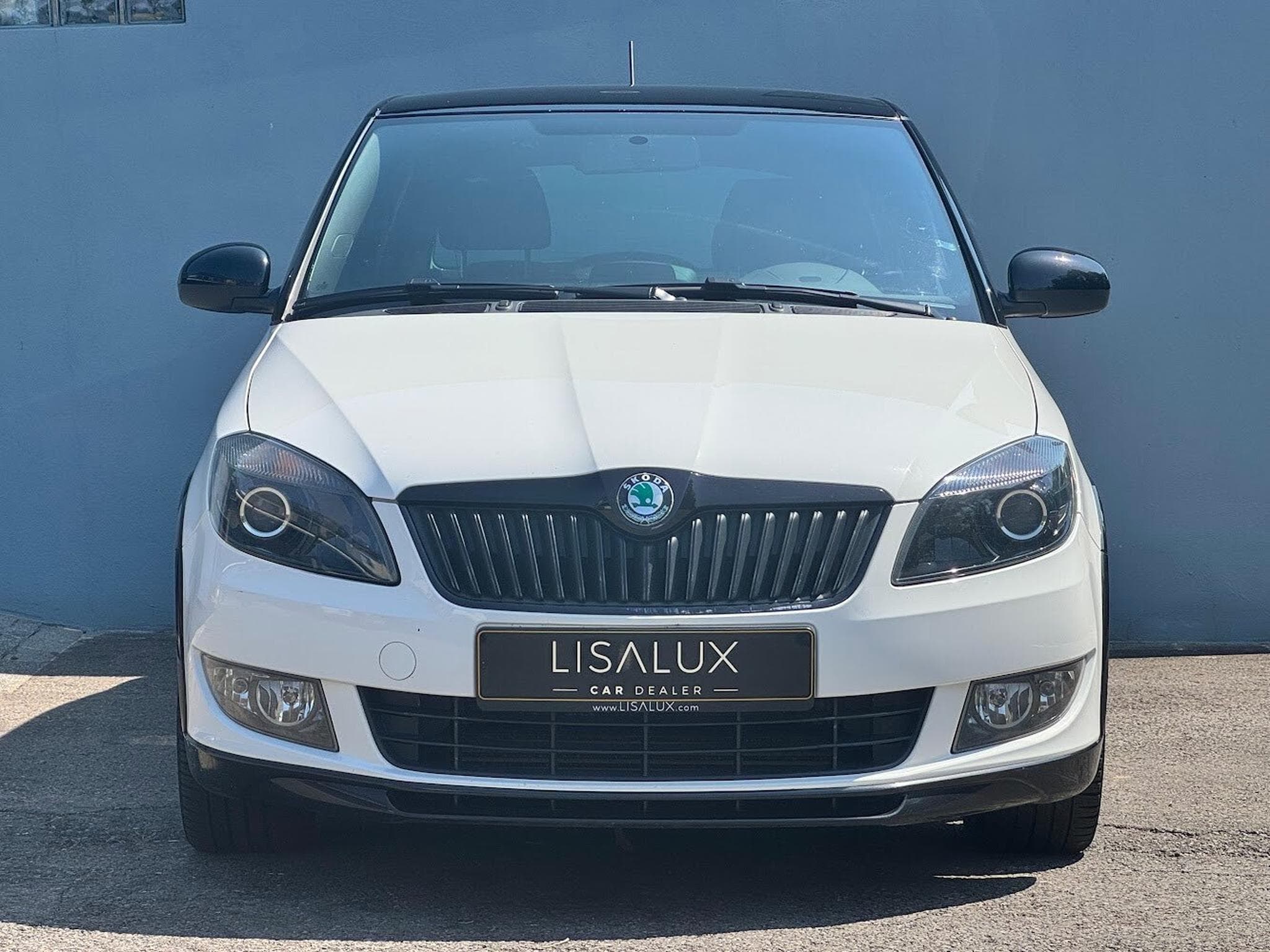 Skoda Fabia 1.6 TDI 105 MONTE CARLO (2011) - Photo 9
