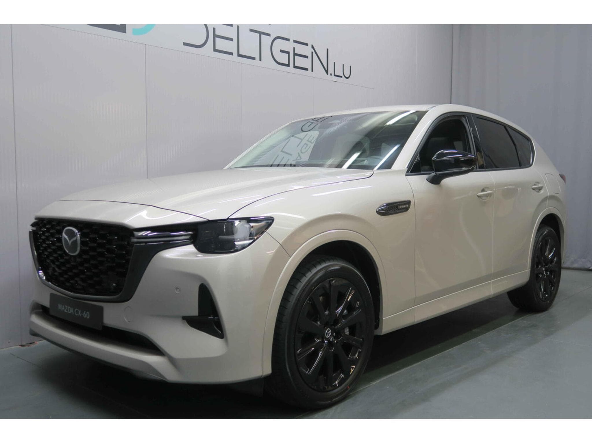 Mazda CX-60 3.3 e-Skyactiv D 254 6 Cylindres Homura Plus Auto (2026) - Photo 2