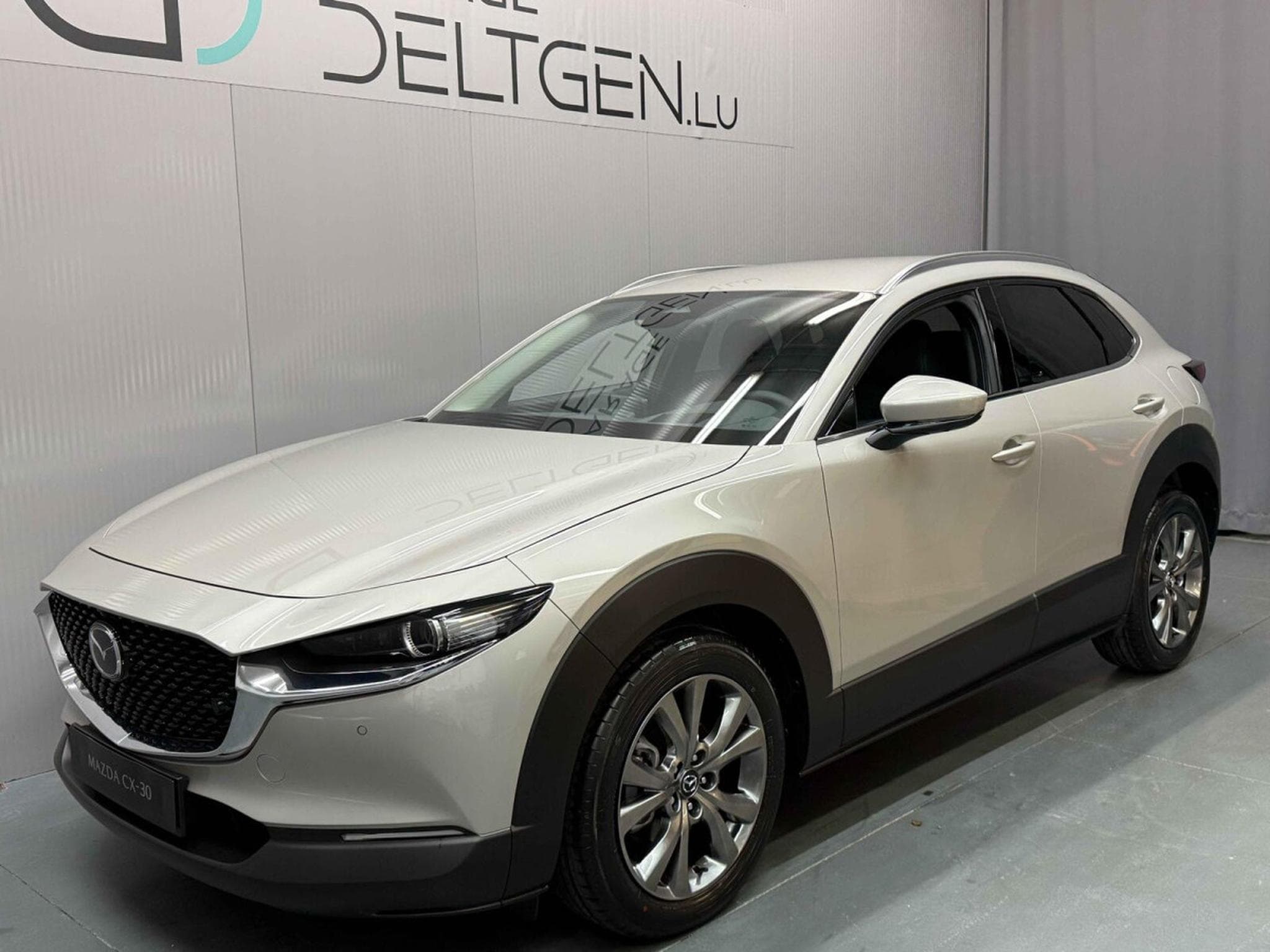 Mazda CX-30 2.0 e-Skyactiv X 186 Takumi Auto (2026) - Photo 2