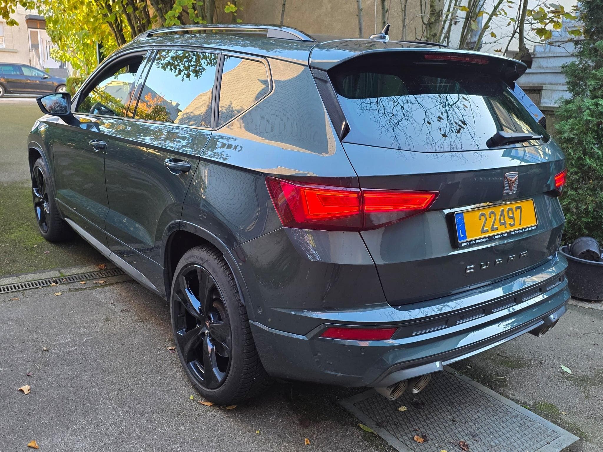 Cupra Ateca Tribe Edition (2023) - Photo 3