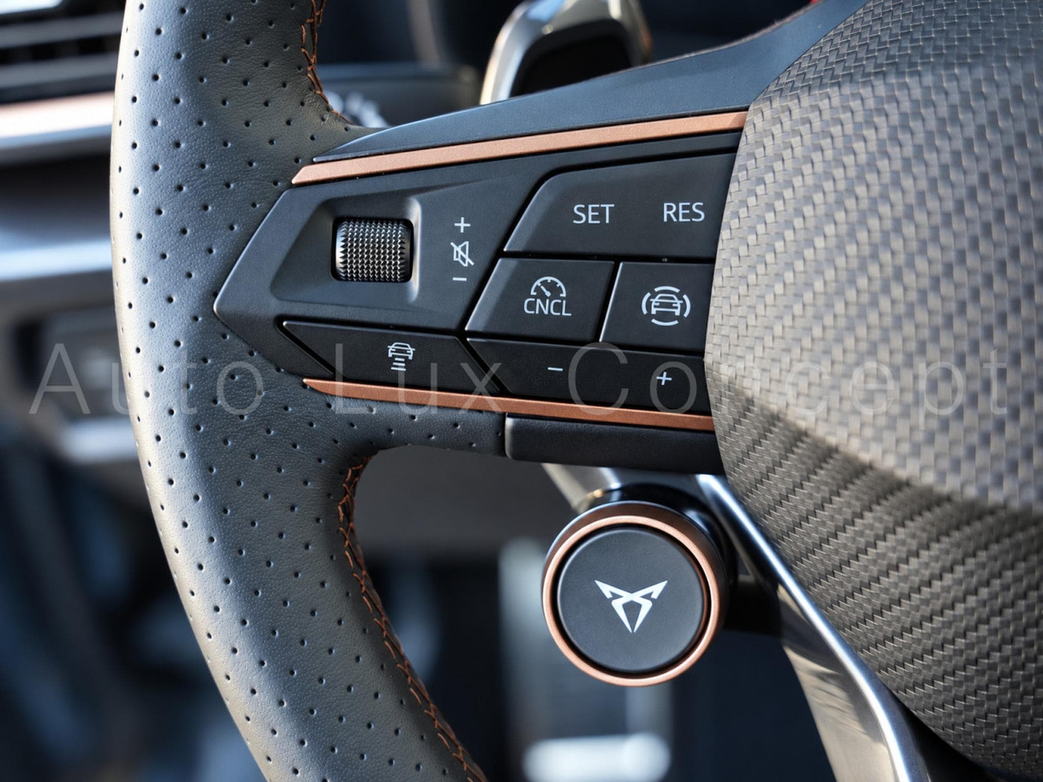 Cupra Formentor VZ 2.0 TSI 333 ch DSG7 4Drive (2026) - Photo 12