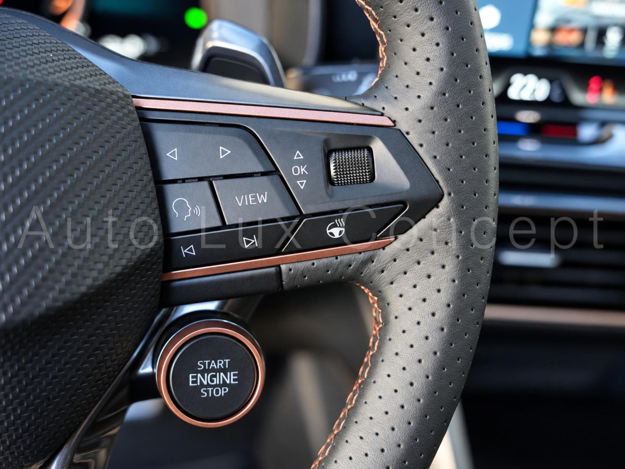 Cupra Formentor VZ 2.0 TSI 333 ch DSG7 4Drive (2026) - Photo 13