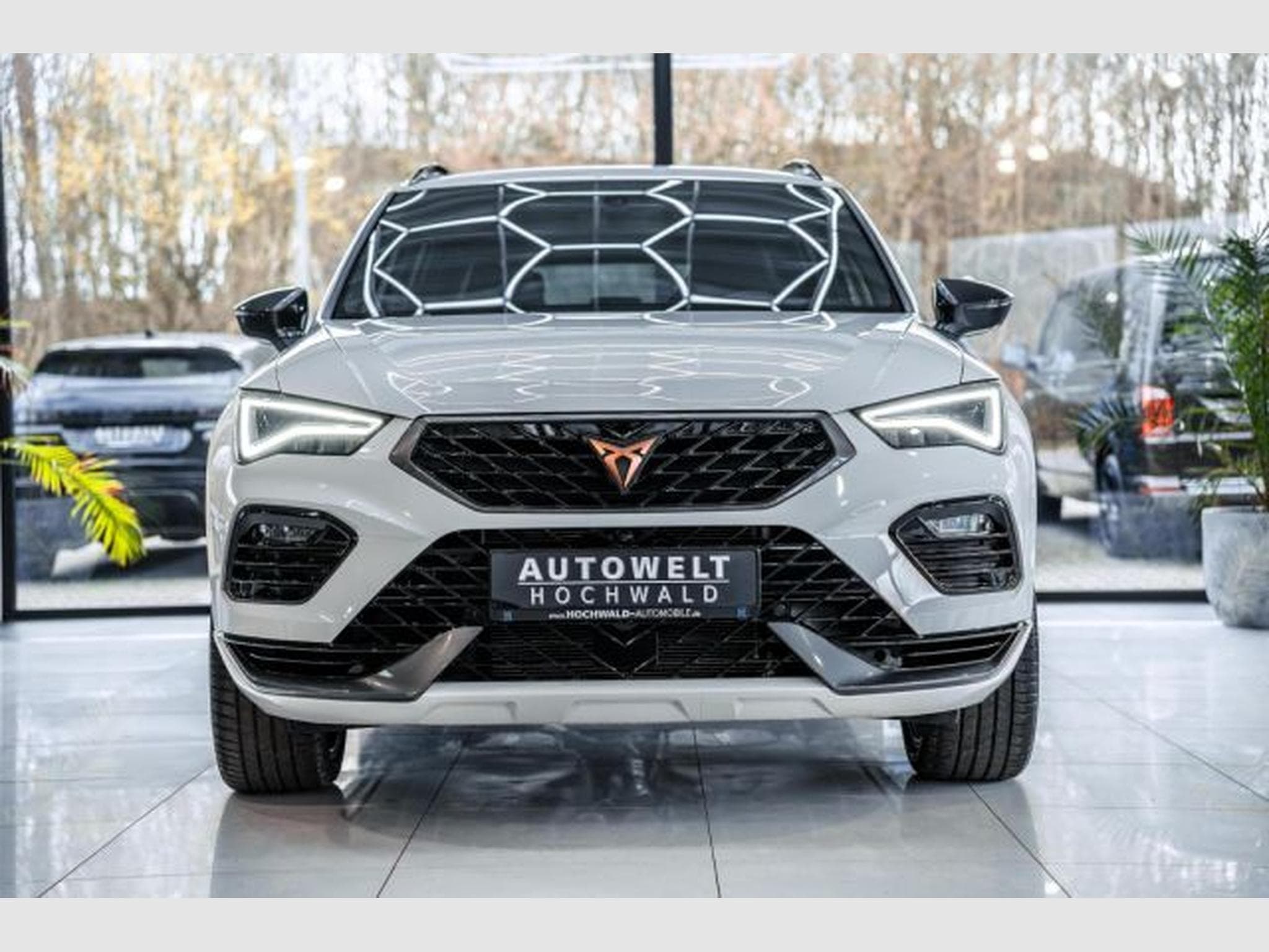 Cupra Ateca Ateca VZ 2.0 TSI DSG 4Drive NAVI AHK LED RFK SHZ (2024) - Photo 5