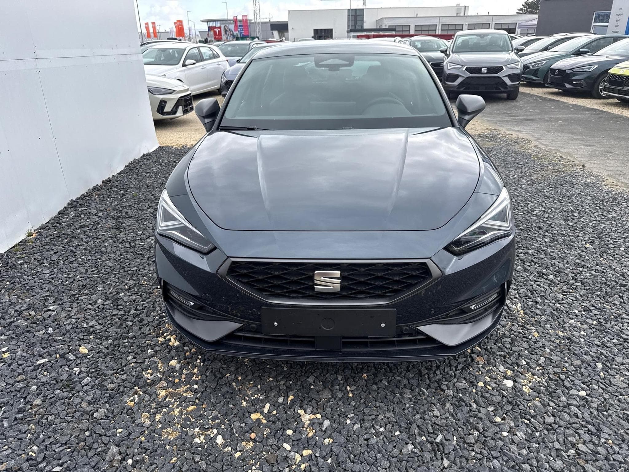 Seat Leon FR (2026) - Foto 2