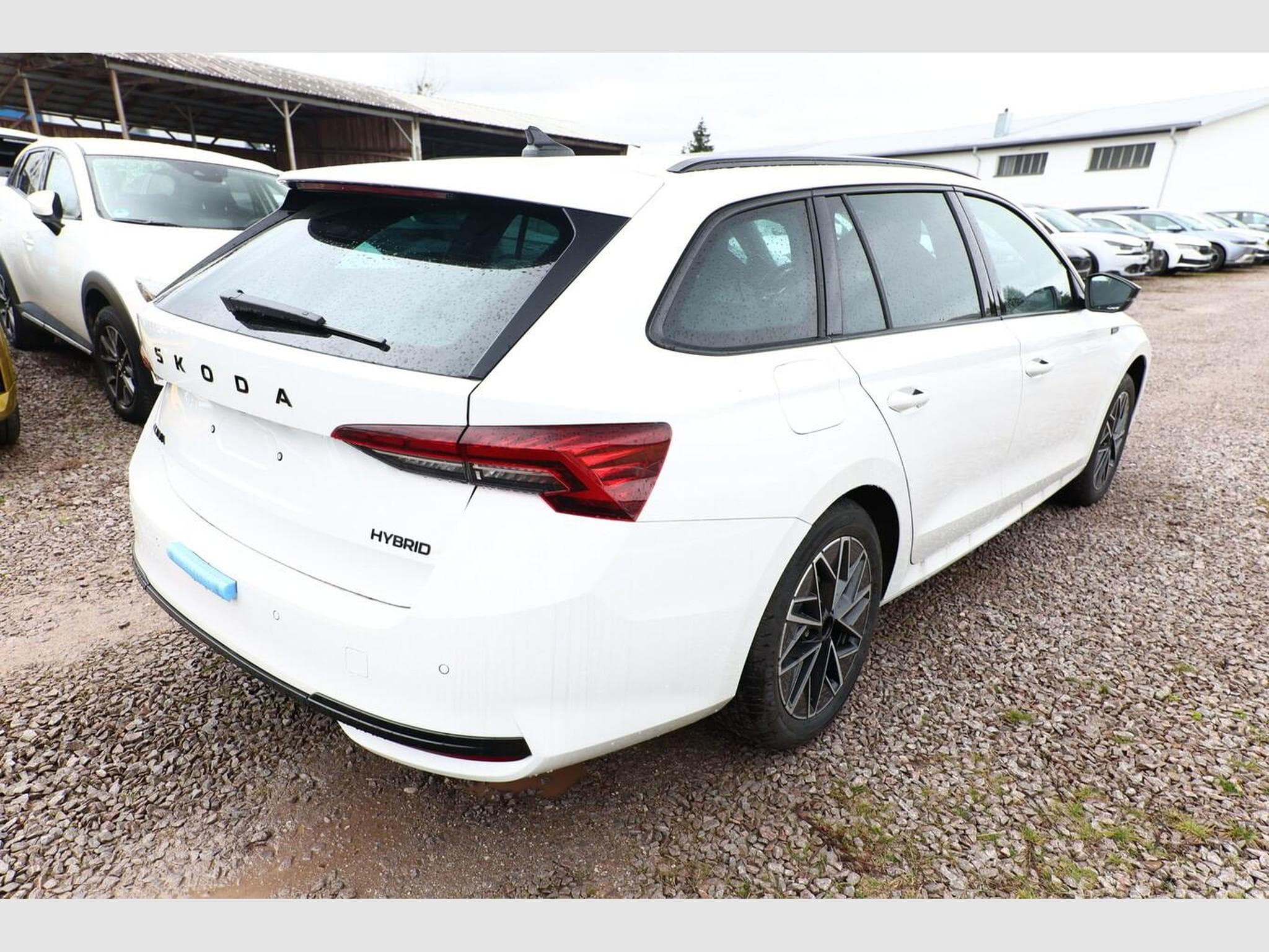 Skoda Octavia Sportline (2026) - Foto 3