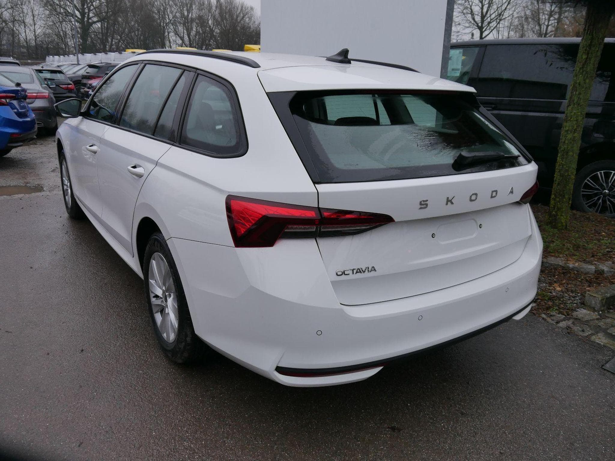 Skoda Octavia Selection (2026) - Foto 5