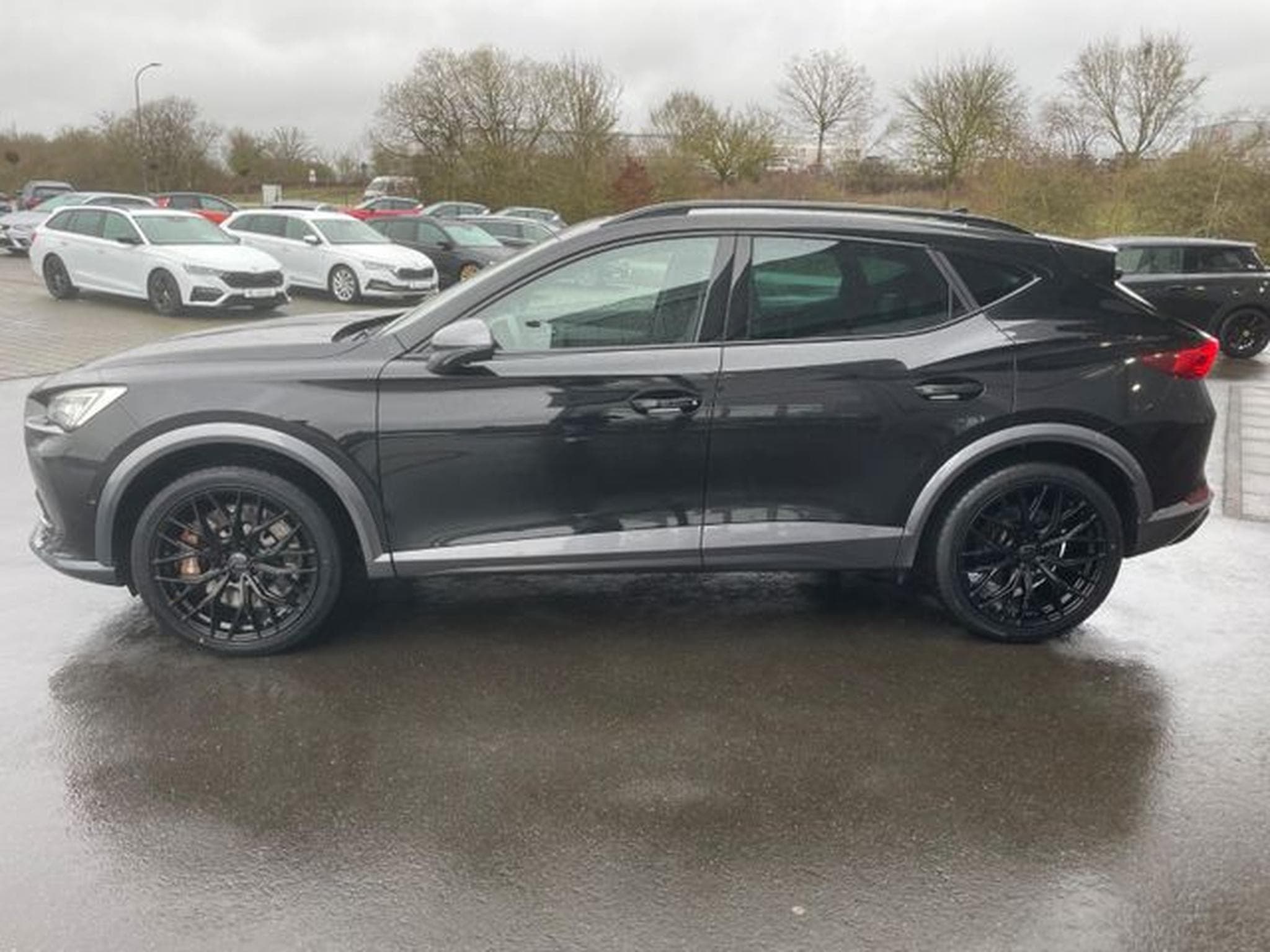 Cupra Formentor Formentor VZ 4Drive 19" Brembo Leder DCC 360° (2021) - Foto 9