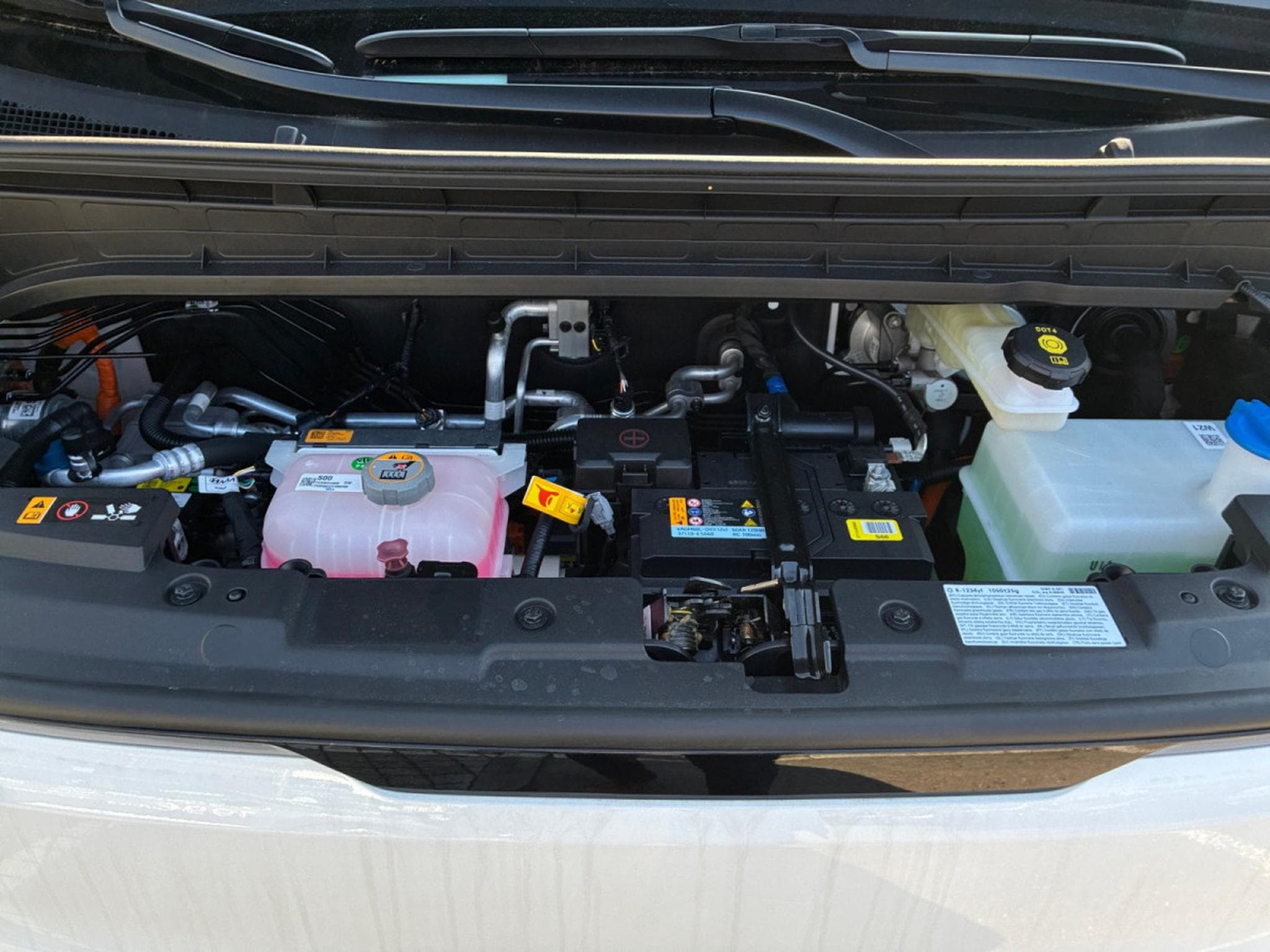 Kia PV5 Cargo PV5 Cargo Plus 71.2 kWh (2026) - Foto 16