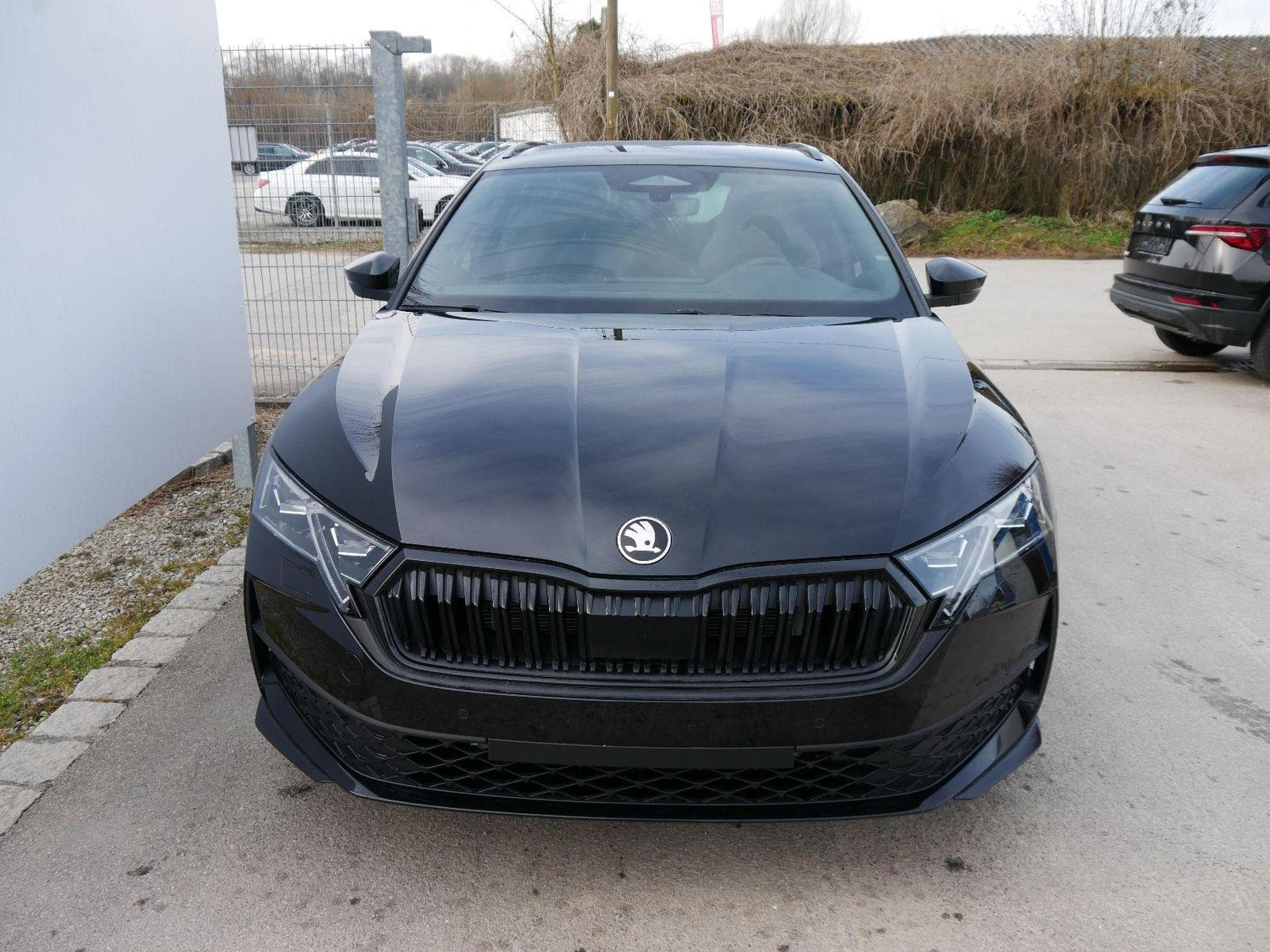 Skoda Octavia Sportline (2026) - Foto 3