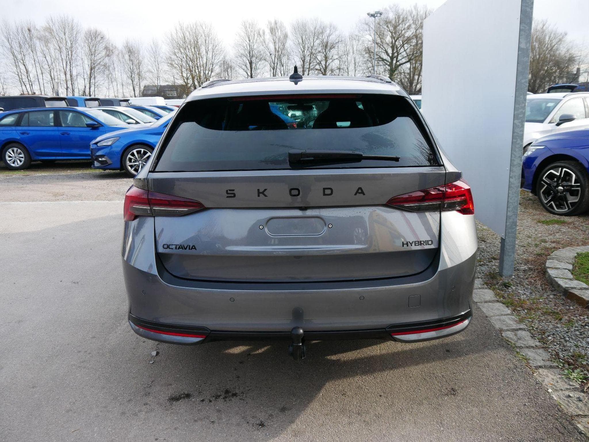 Skoda Octavia Sportline (2026) - Foto 2