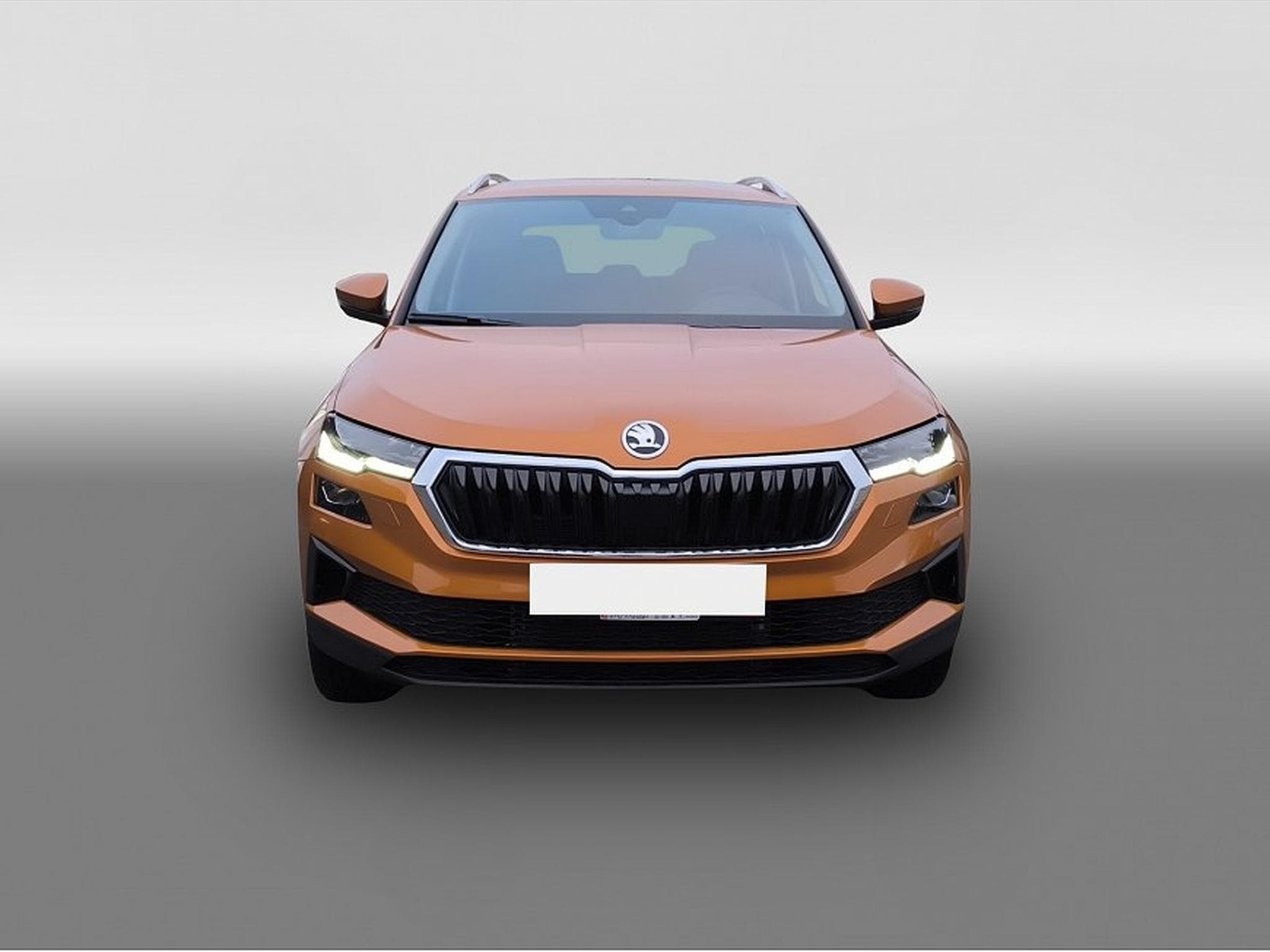Skoda Karoq (2025) - Photo 2