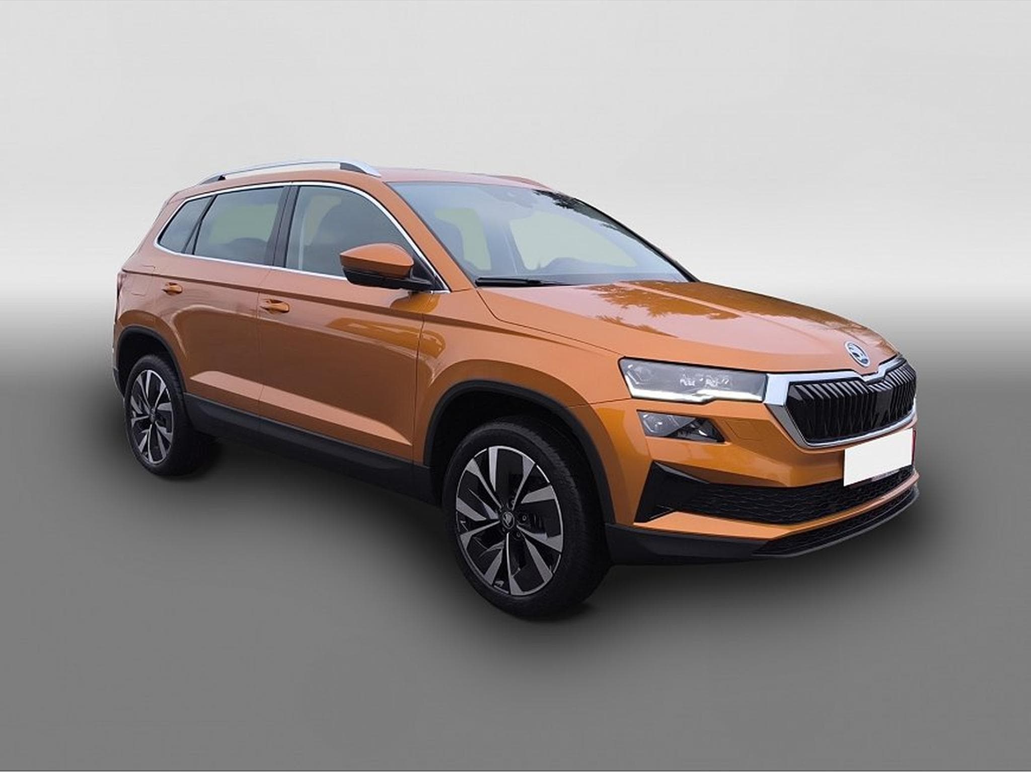 Skoda Karoq (2025) - Photo 3