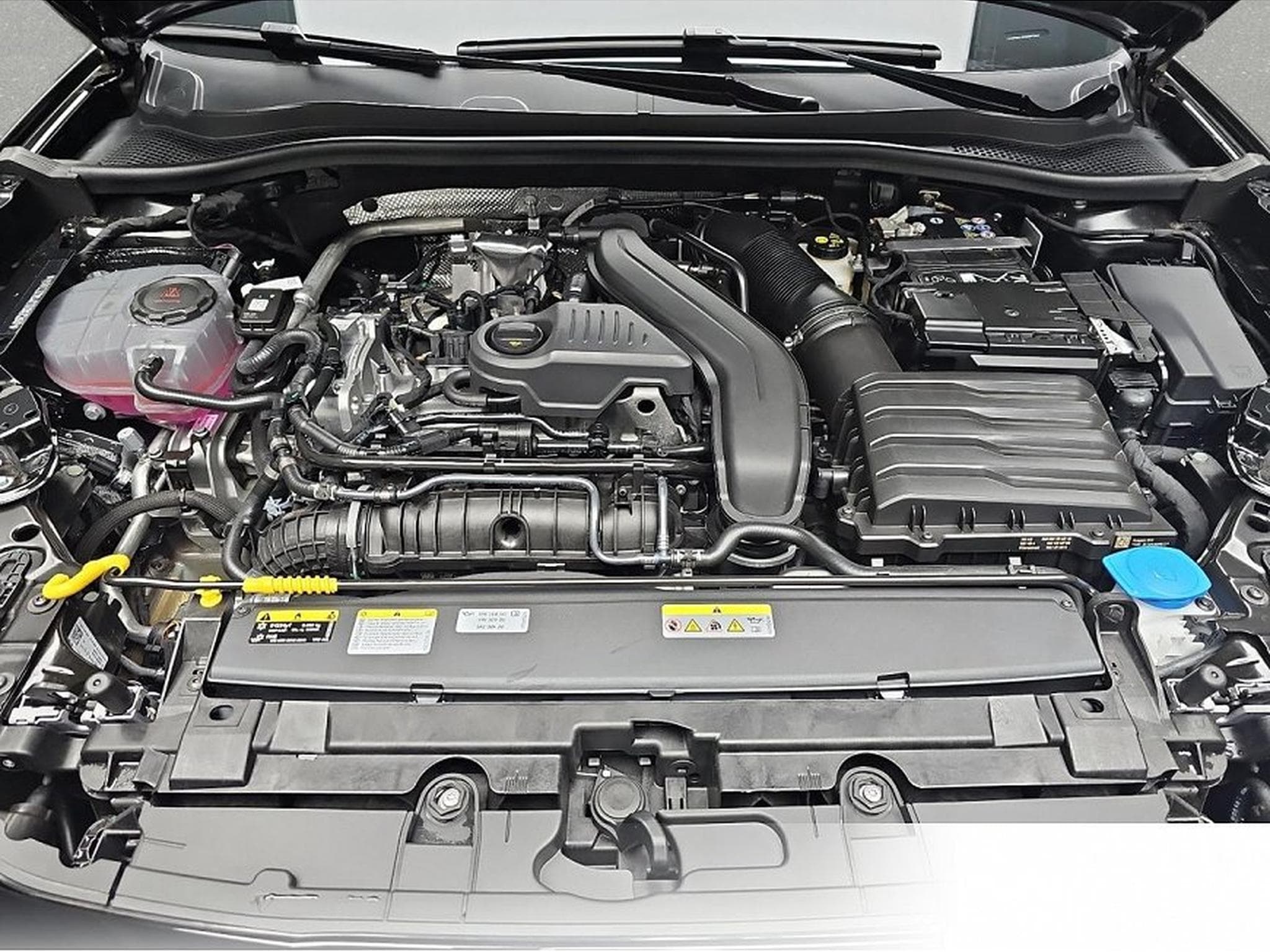 Cupra Leon (2026) - Foto 14