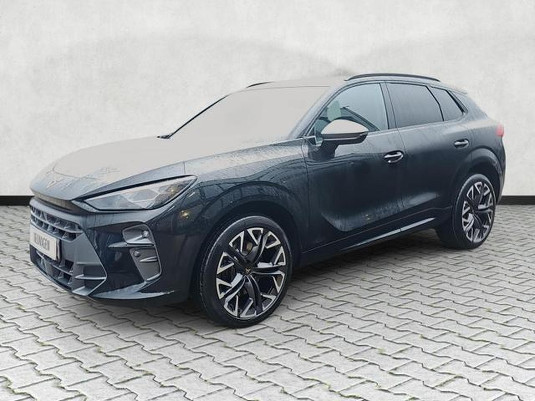 Cupra Terramar 2.0 TSI 195 kW 4Drive VZ (2026) - Photo 3