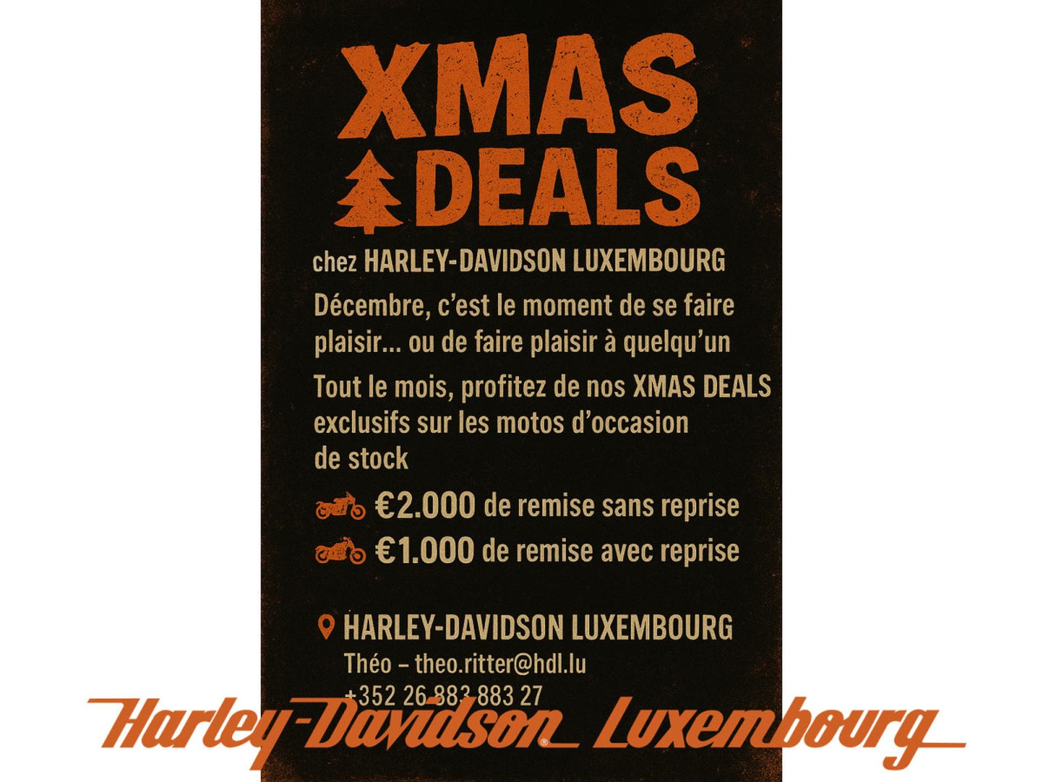 Harley-Davidson Nightster RH975 (2022) - Photo 2