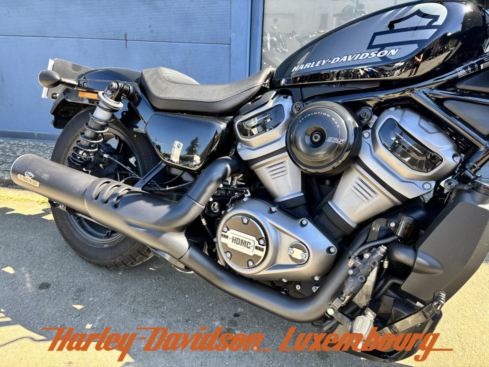 Harley-Davidson Nightster RH975 (2022) - Photo 4