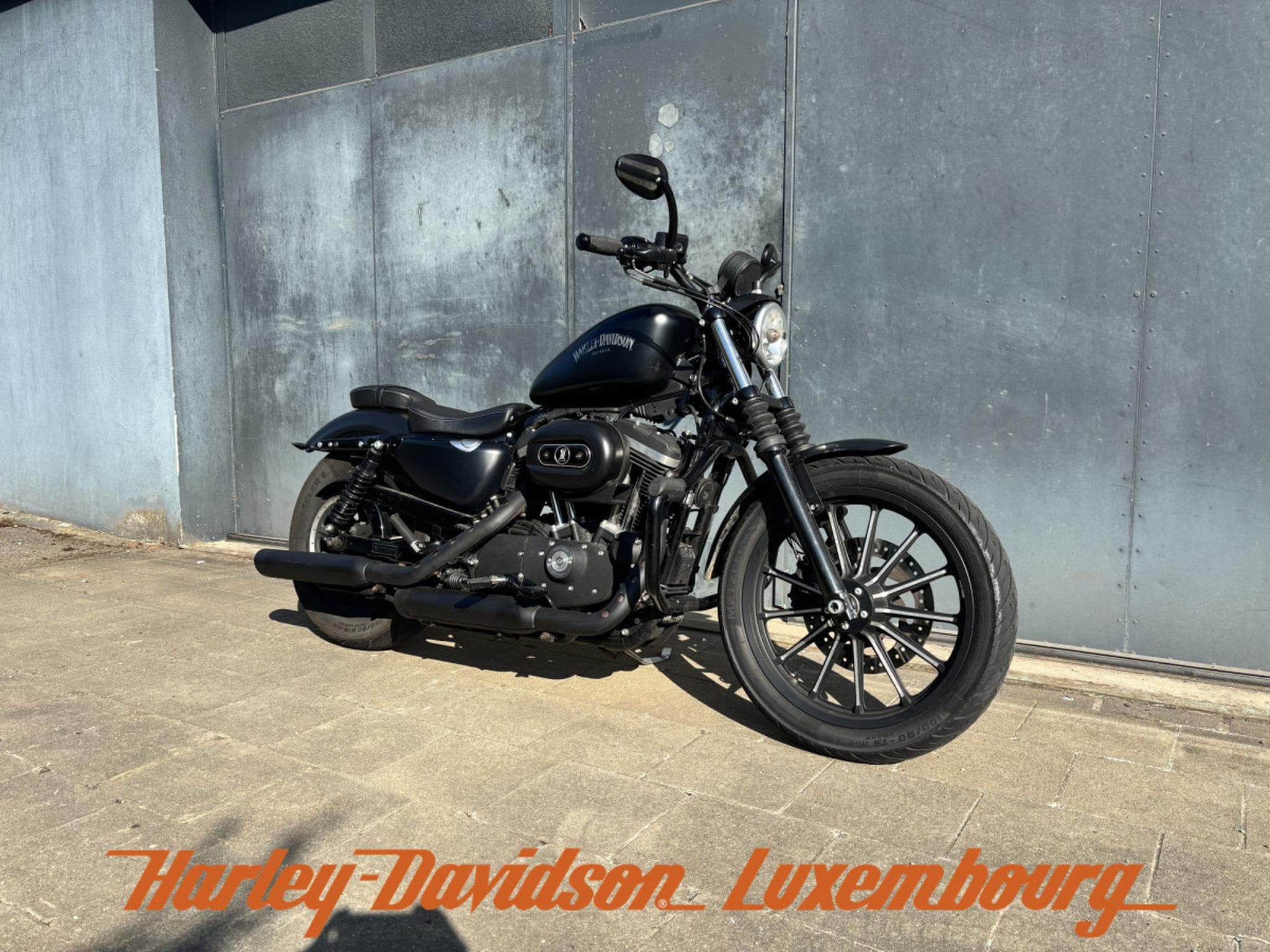Harley-Davidson Sportster 883 (2015) - Photo 1