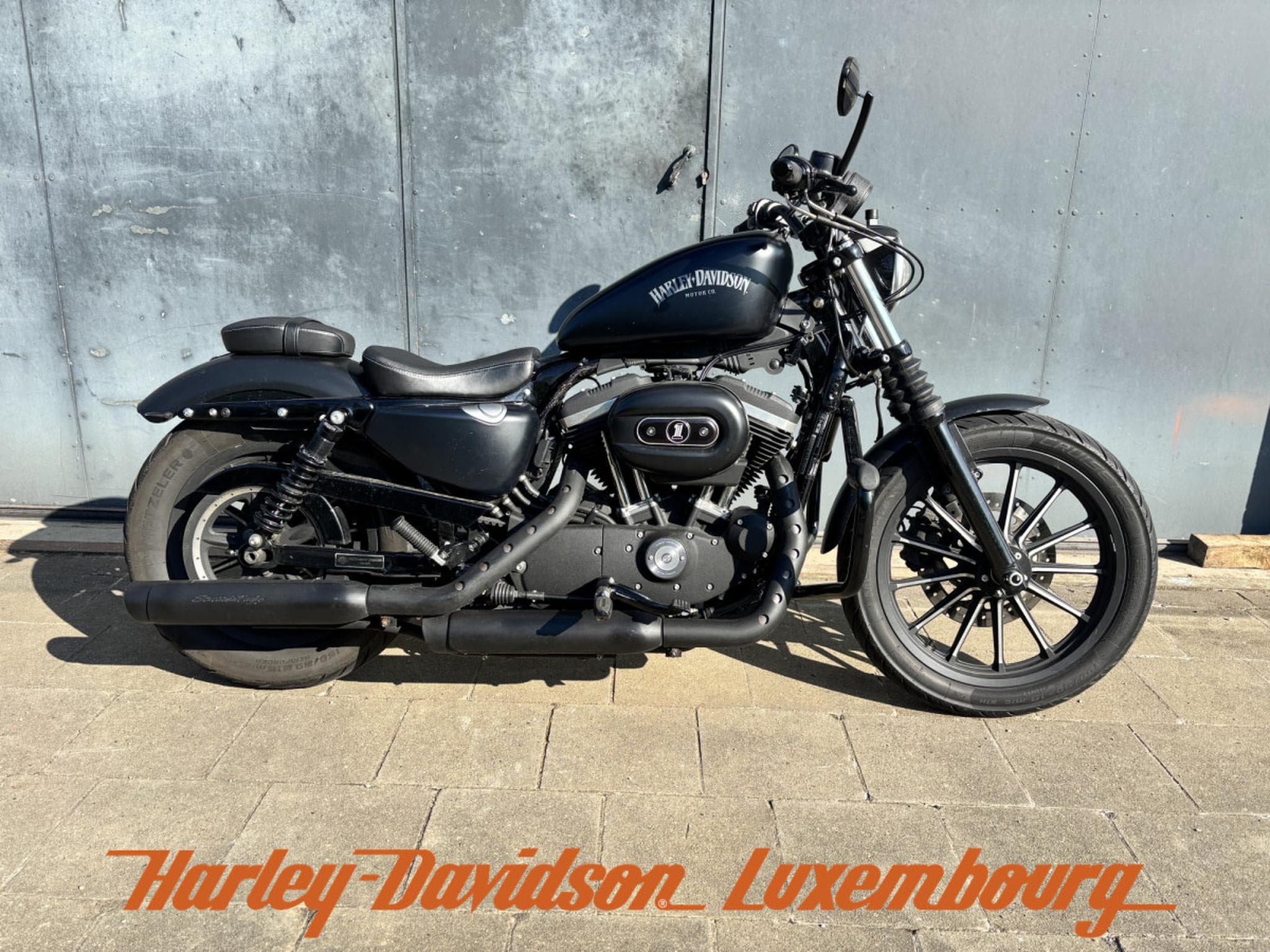 Harley-Davidson Sportster 883 (2015) - Photo 2