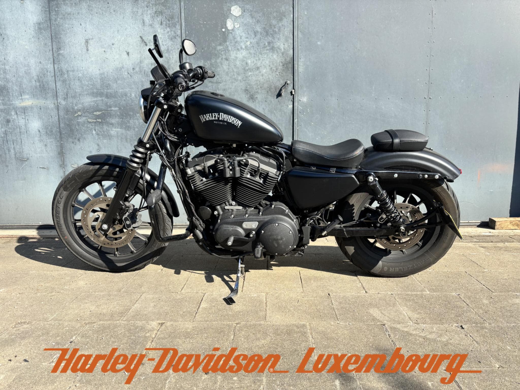 Harley-Davidson Sportster 883 (2015) - Photo 3