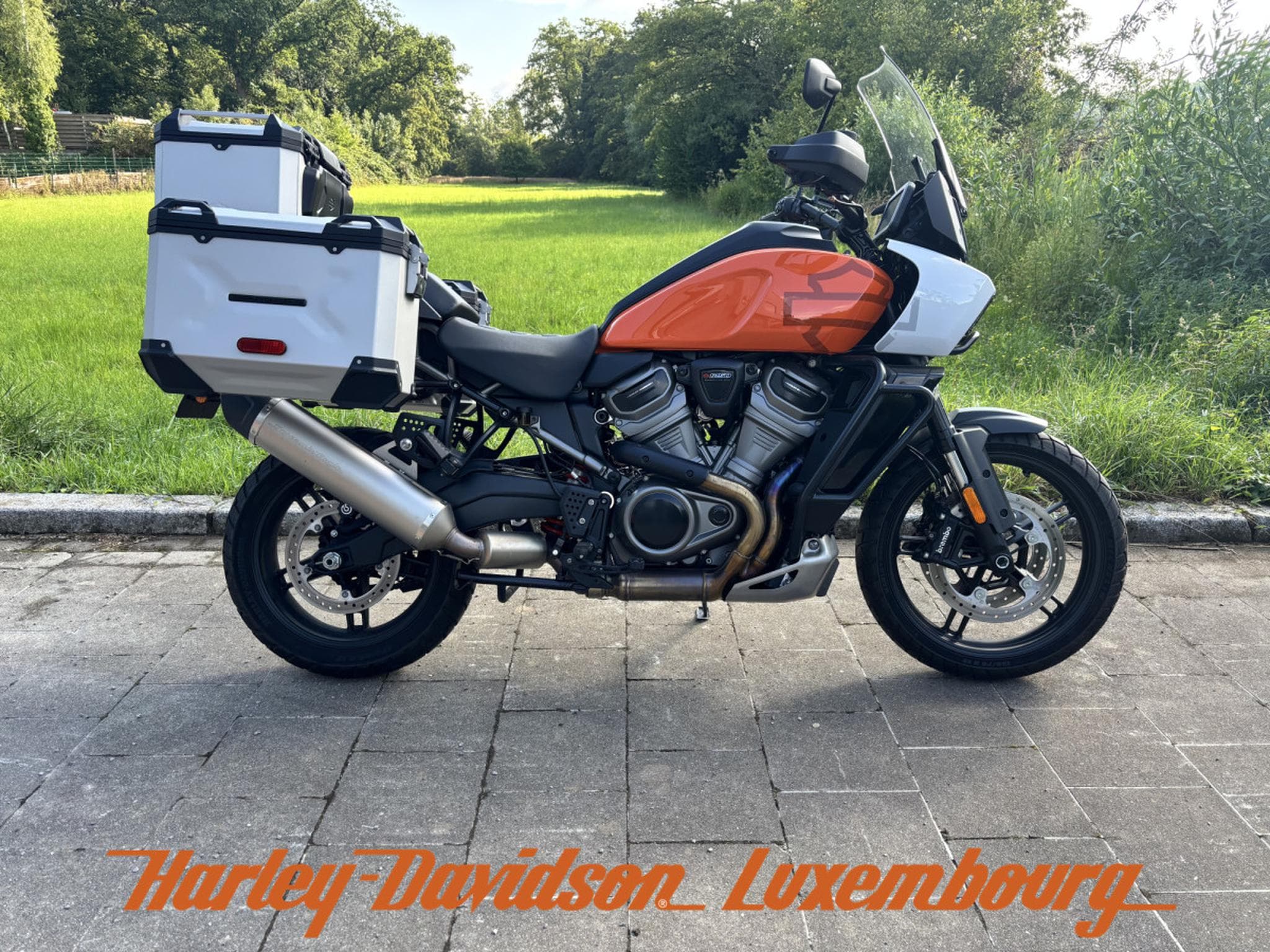 Harley-Davidson Pan America Special (2021) - Photo 1
