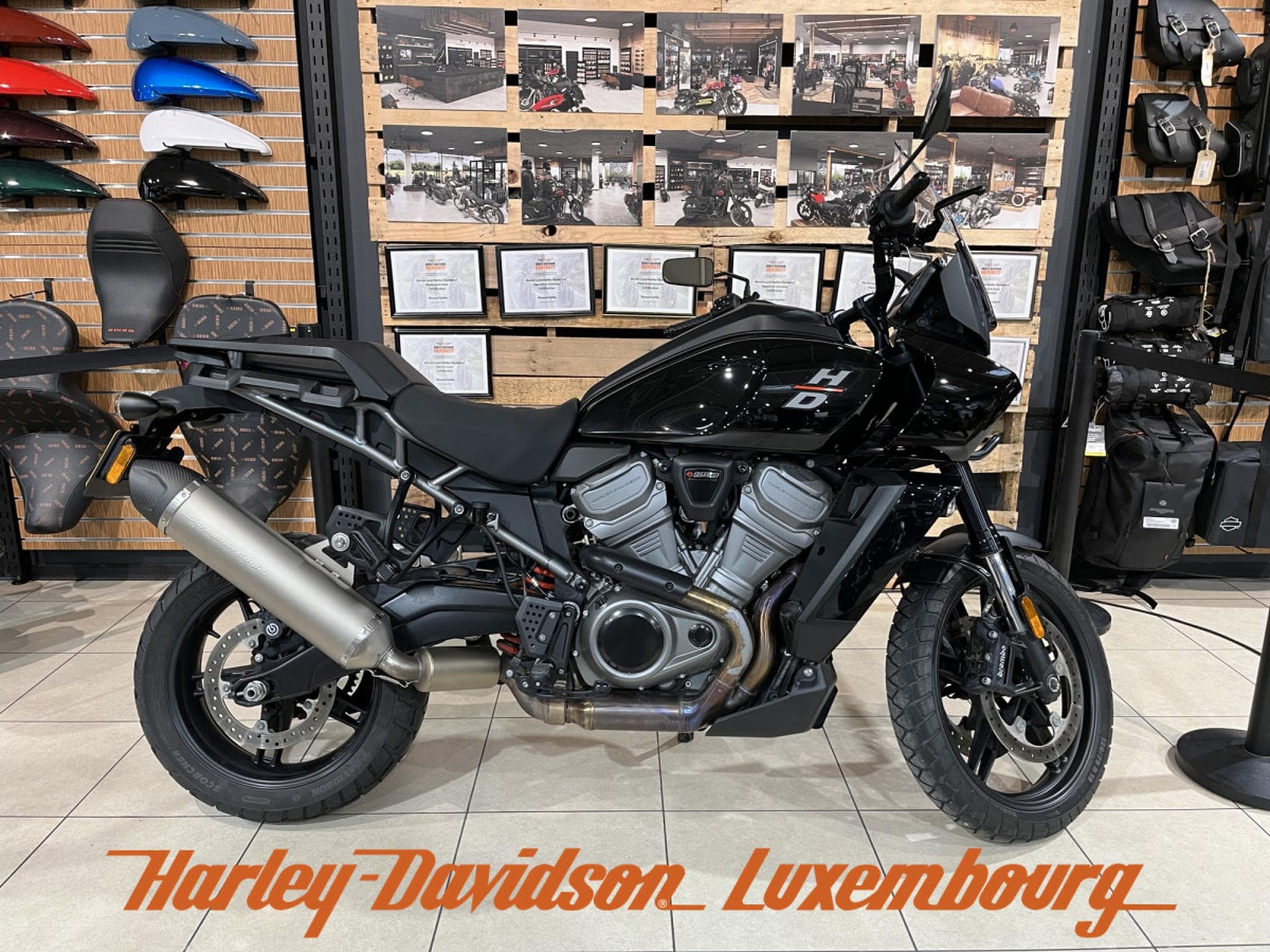 Harley-Davidson Pan America (2022) - Photo 1