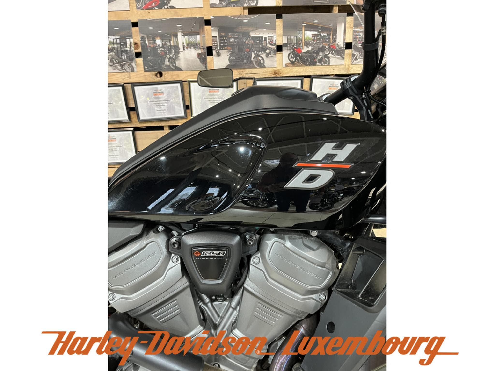 Harley-Davidson Pan America (2022) - Photo 2