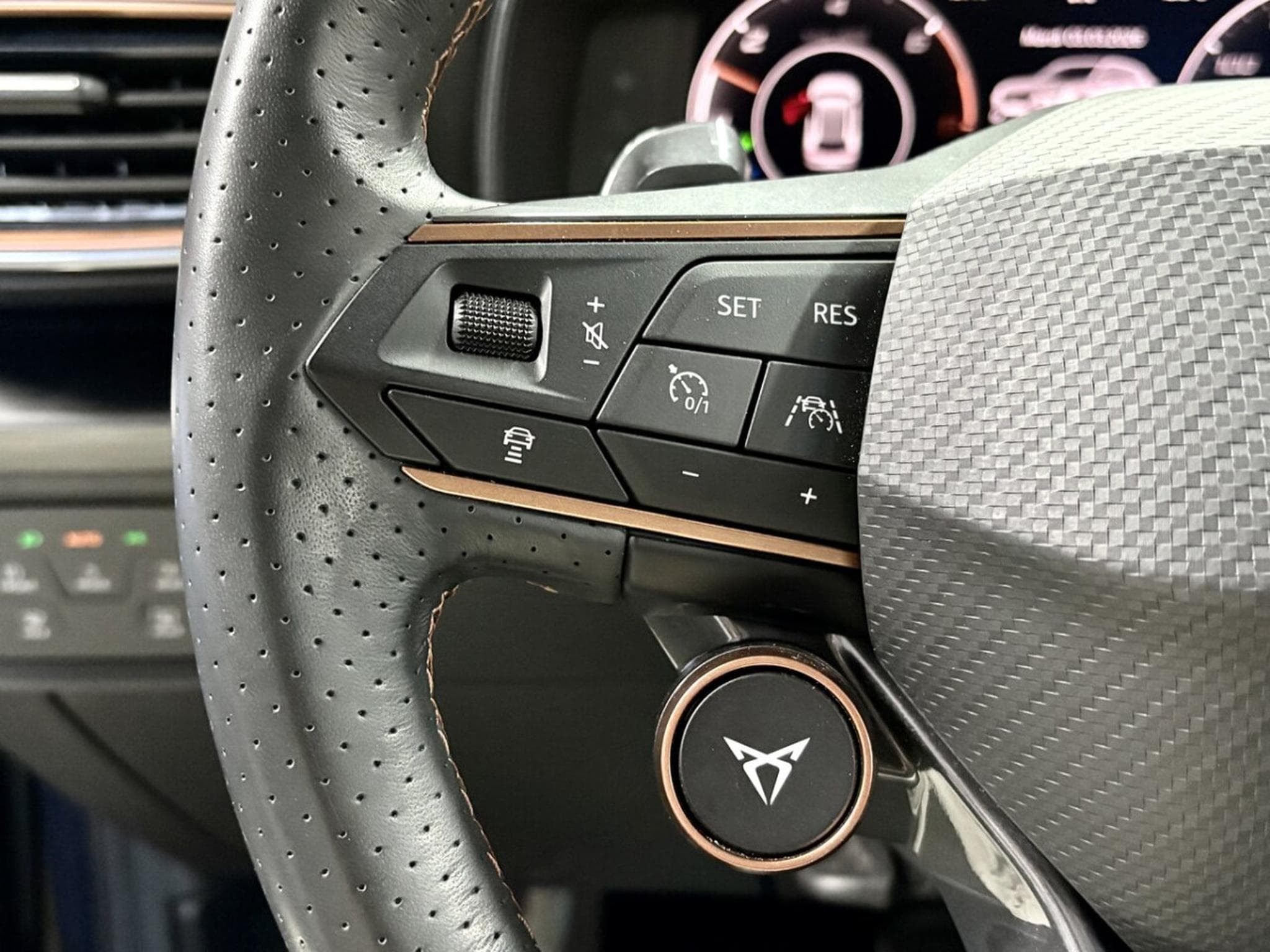 Cupra Formentor VZ 245CV eHybrid DSG6 *VSS* *Toit Pano* *Mat Grey* (2023) - Foto 10