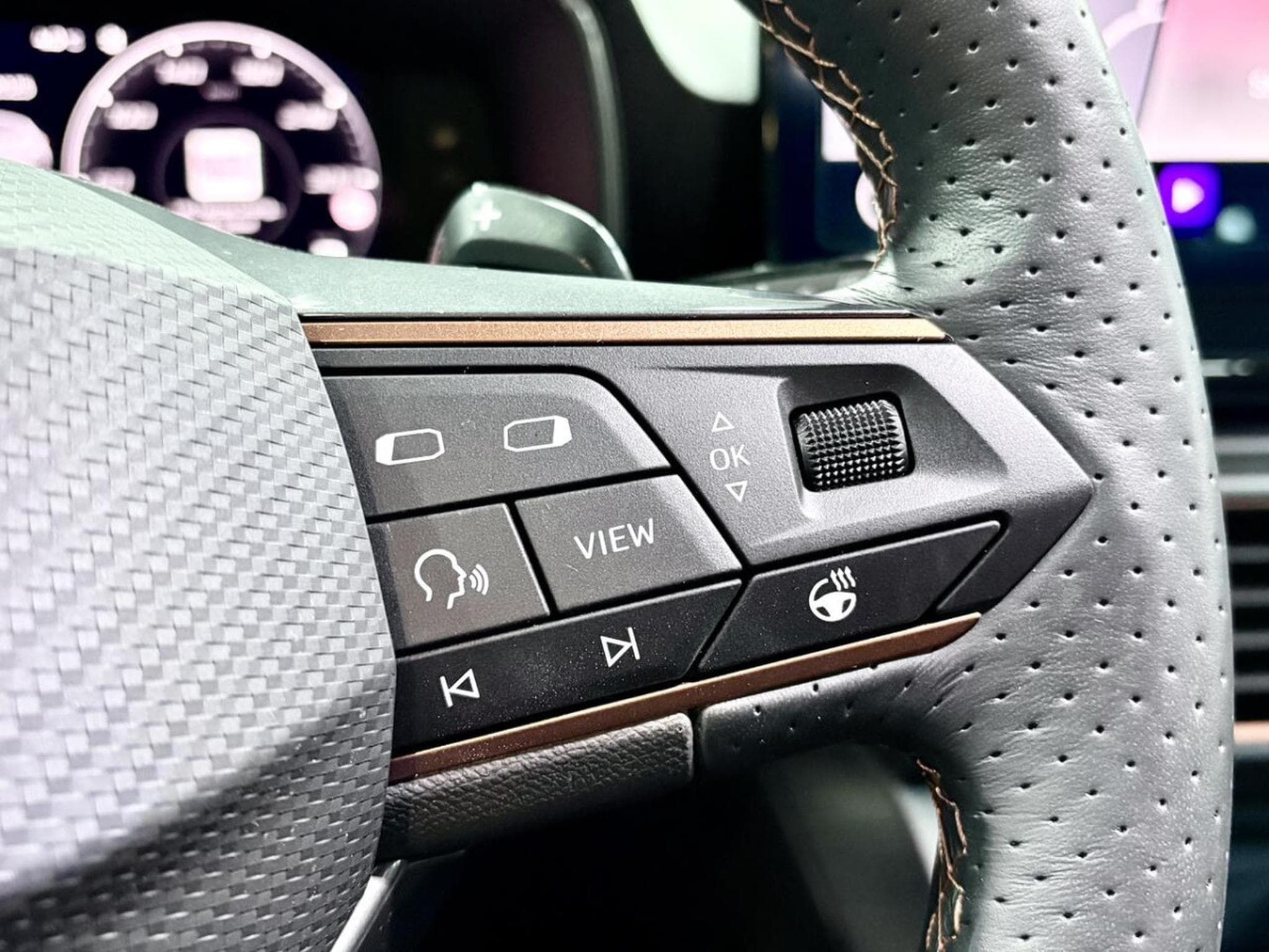 Cupra Leon 2.0 TSI 300CV *PANO* *BEATS* CAM* *19"* (2024) - Photo 12