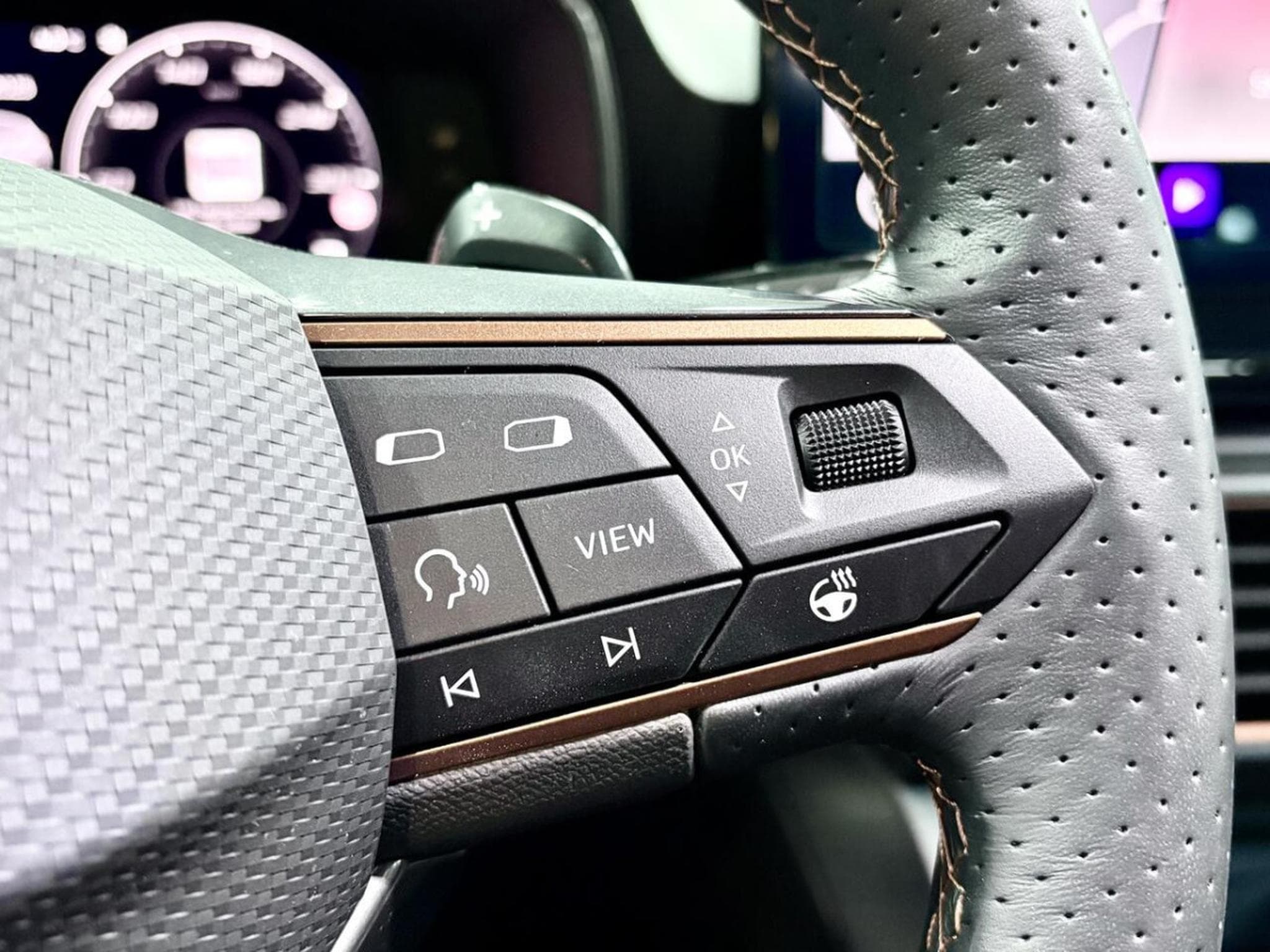 Cupra Leon ST 2.0 TSI 300CV *PANO* *HAYON* CAM* *KEYLESS* (2023) - Foto 10