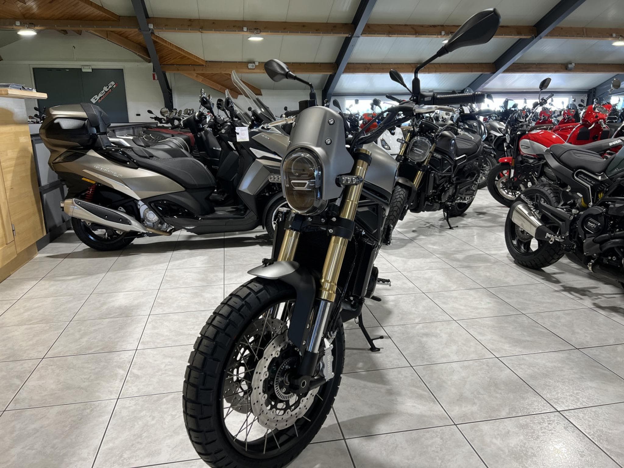 Benelli Leoncino Trail 800 (2024) - Photo 2