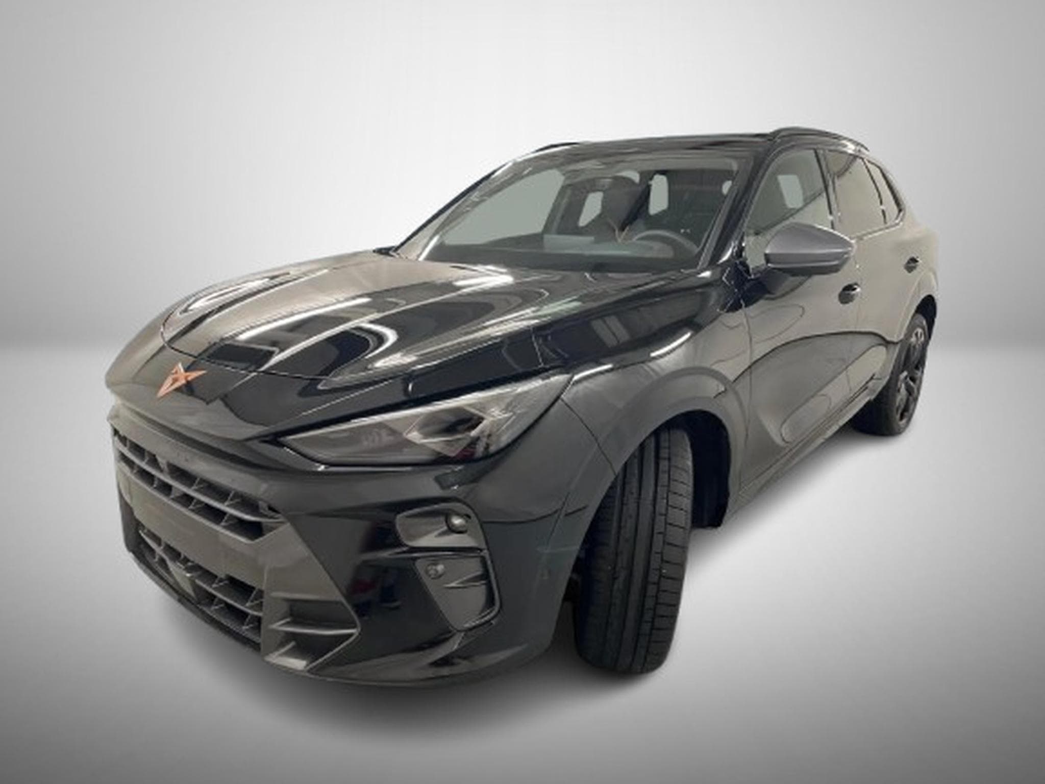 Cupra Terramar 2.0 TSI DSG 265 VZ 4Drive (2026) - Photo 2