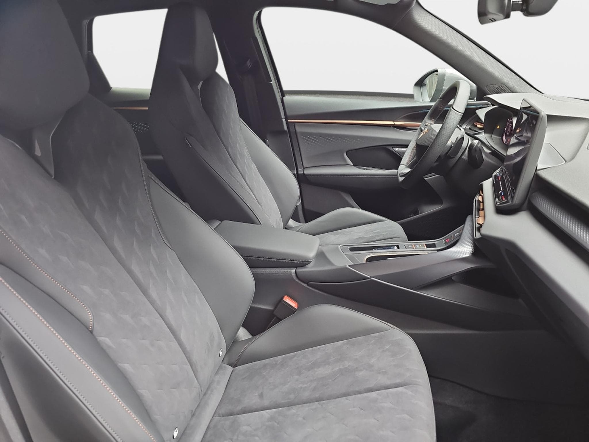 Cupra Terramar 2.0 TSI DSG 265 VZ 4Drive (2025) - Photo 14