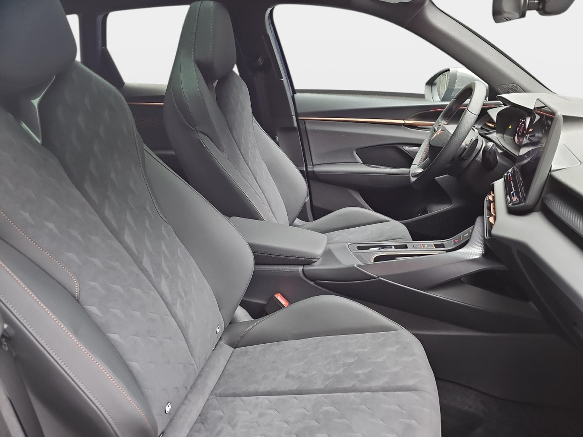 Cupra Terramar 2.0 TSI DSG 265 VZ 4Drive (2025) - Photo 14