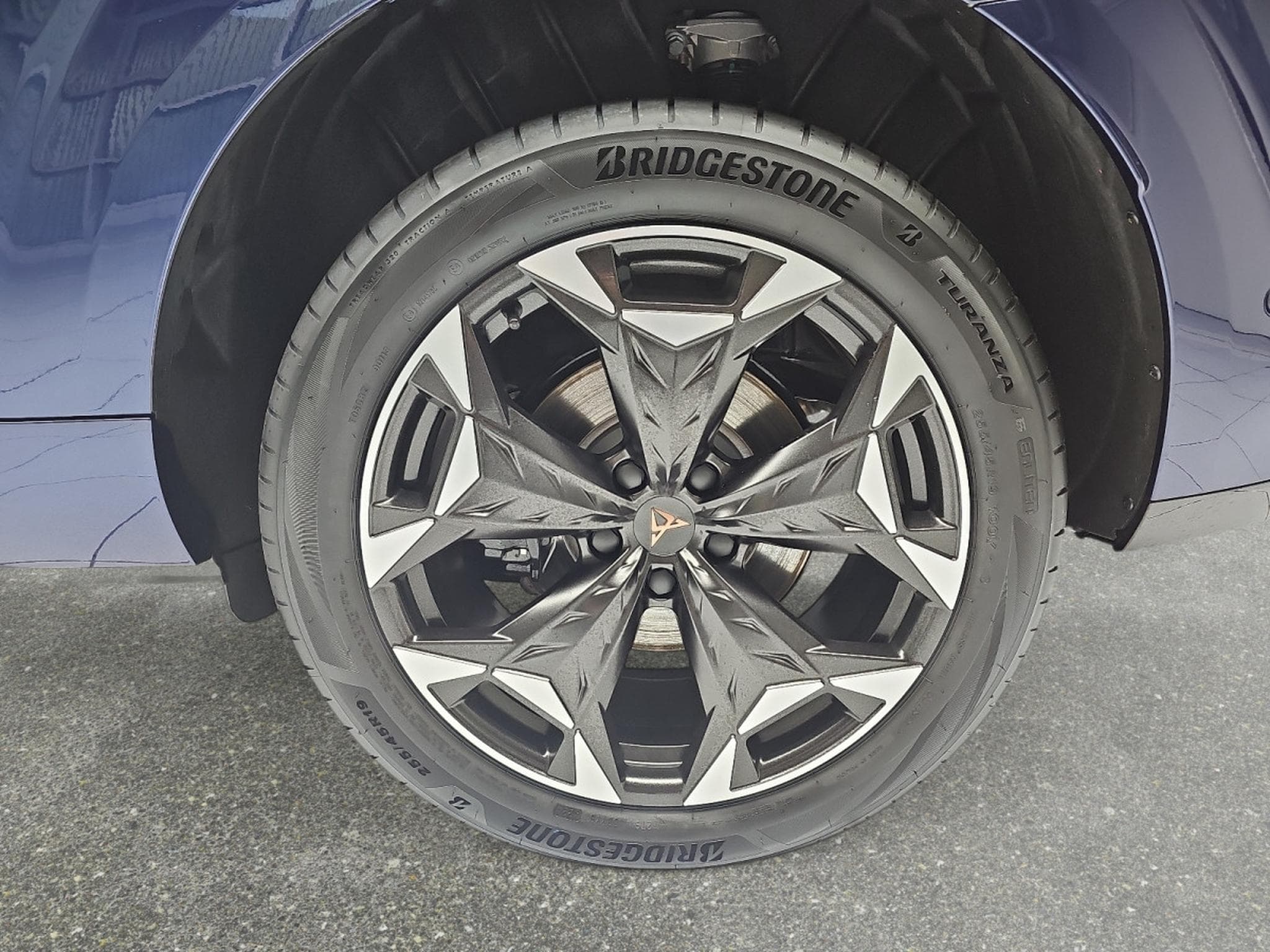 Cupra Terramar 2.0 TSI DSG 265 VZ 4Drive (2025) - Photo 6