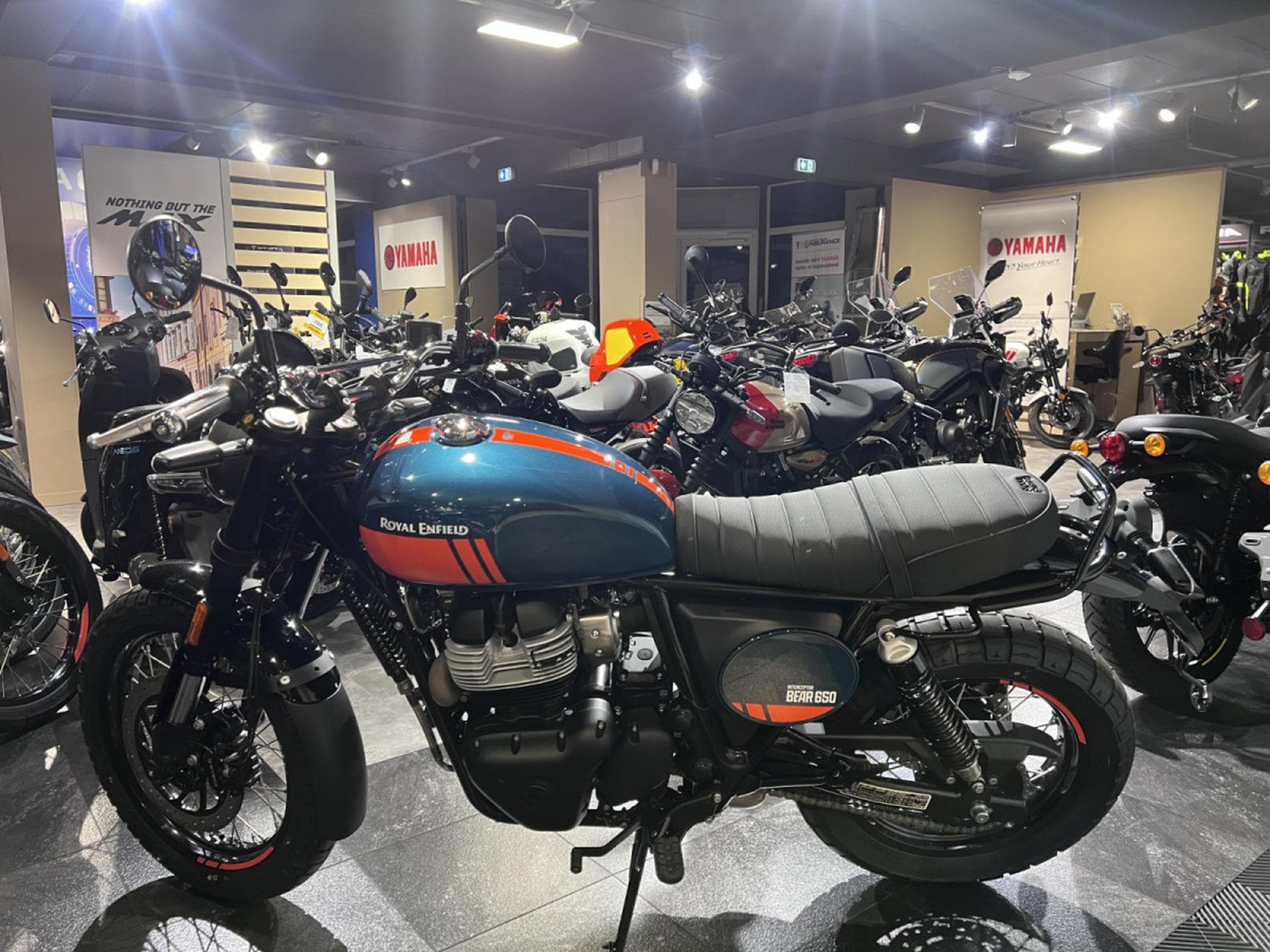 Royal Enfield Bear 650 Petrol Green (2025) - Photo 4