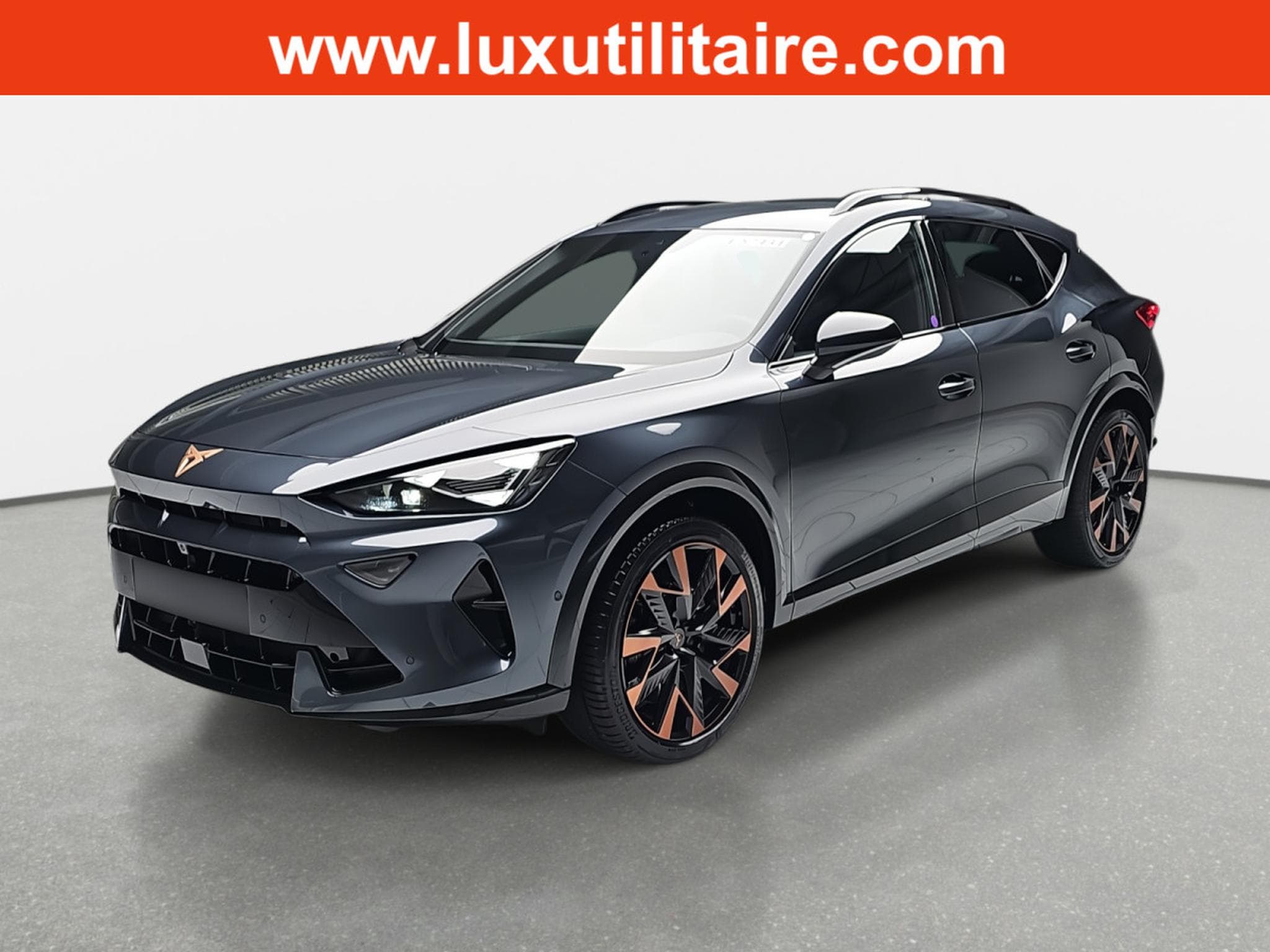 Cupra Formentor 2.0 TSi DSG 333 4DRIVE (2026) - Photo 2