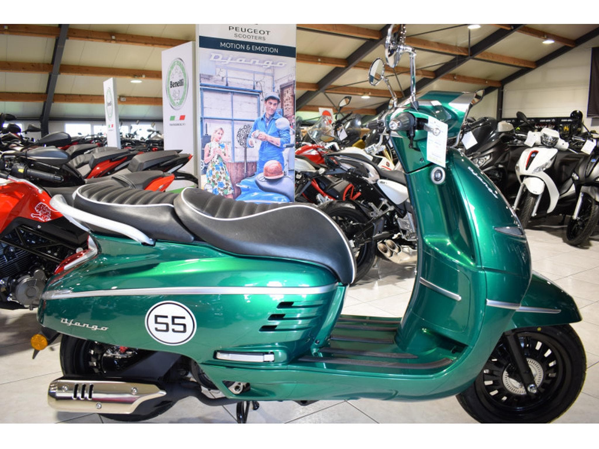 Peugeot Django E5 VERT (2025) - Foto 1