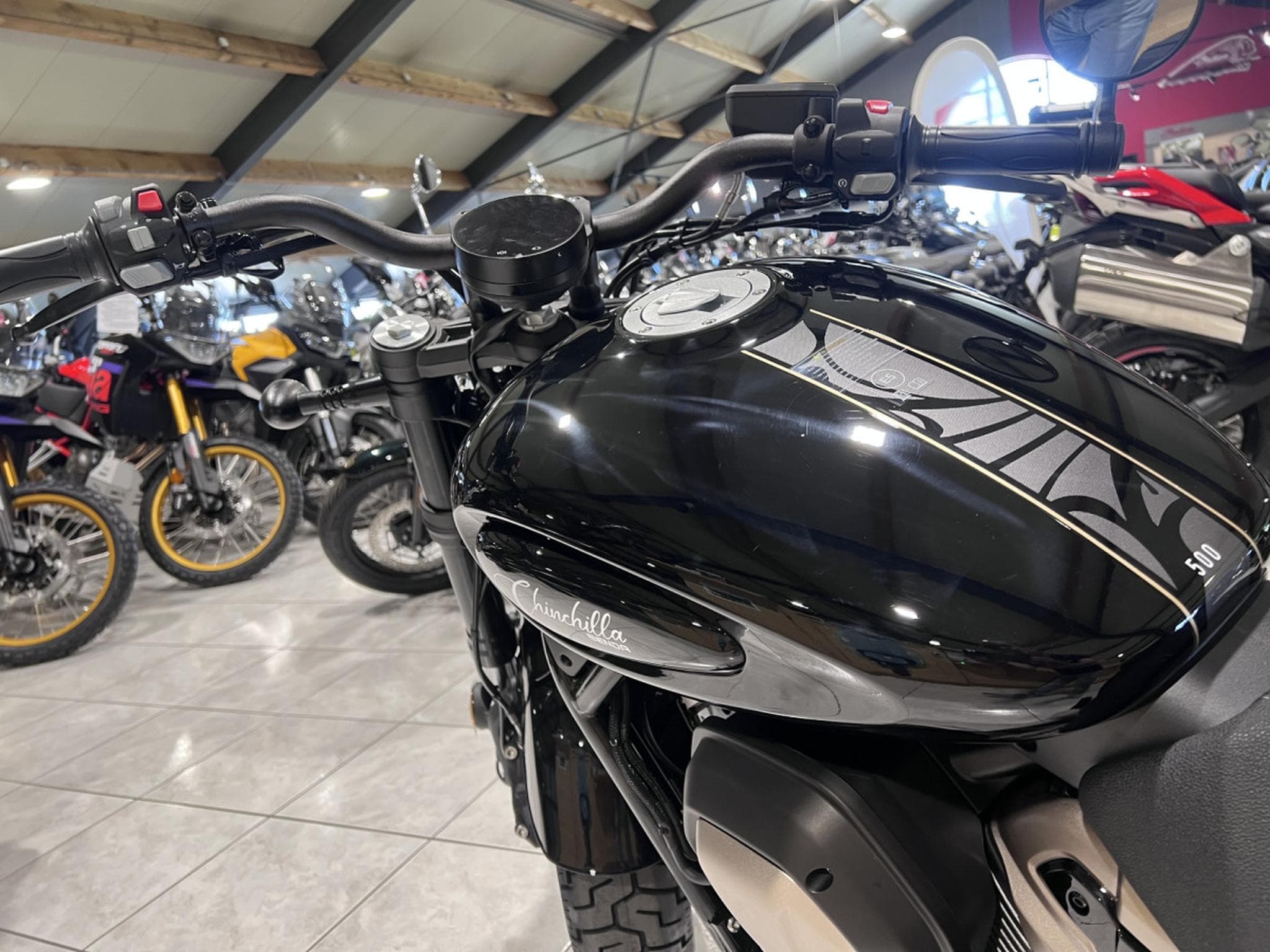 Benda Chinchilla 500 (2025) - Photo 6