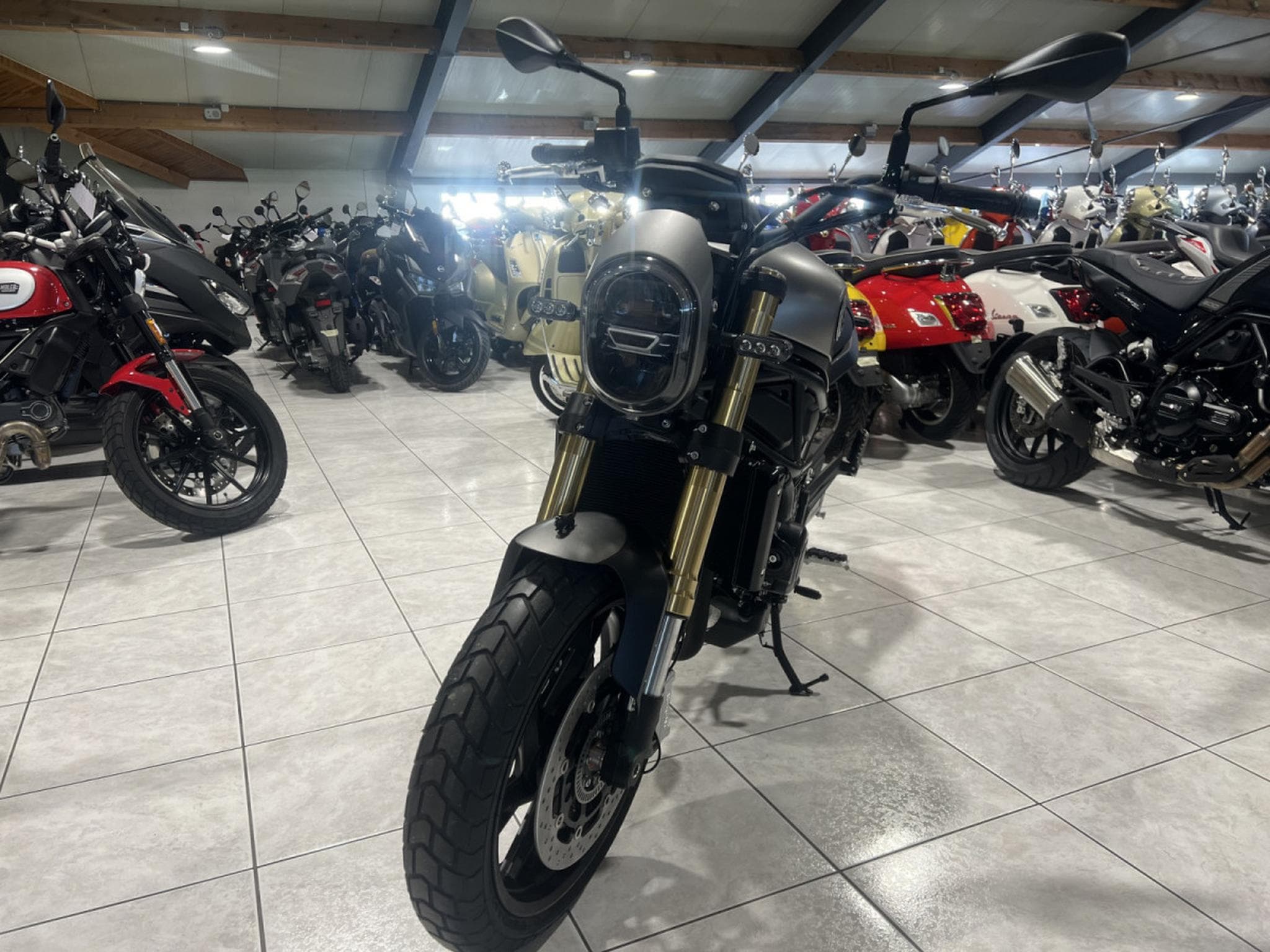 Benelli Leoncino 800 (2026) - Photo 2