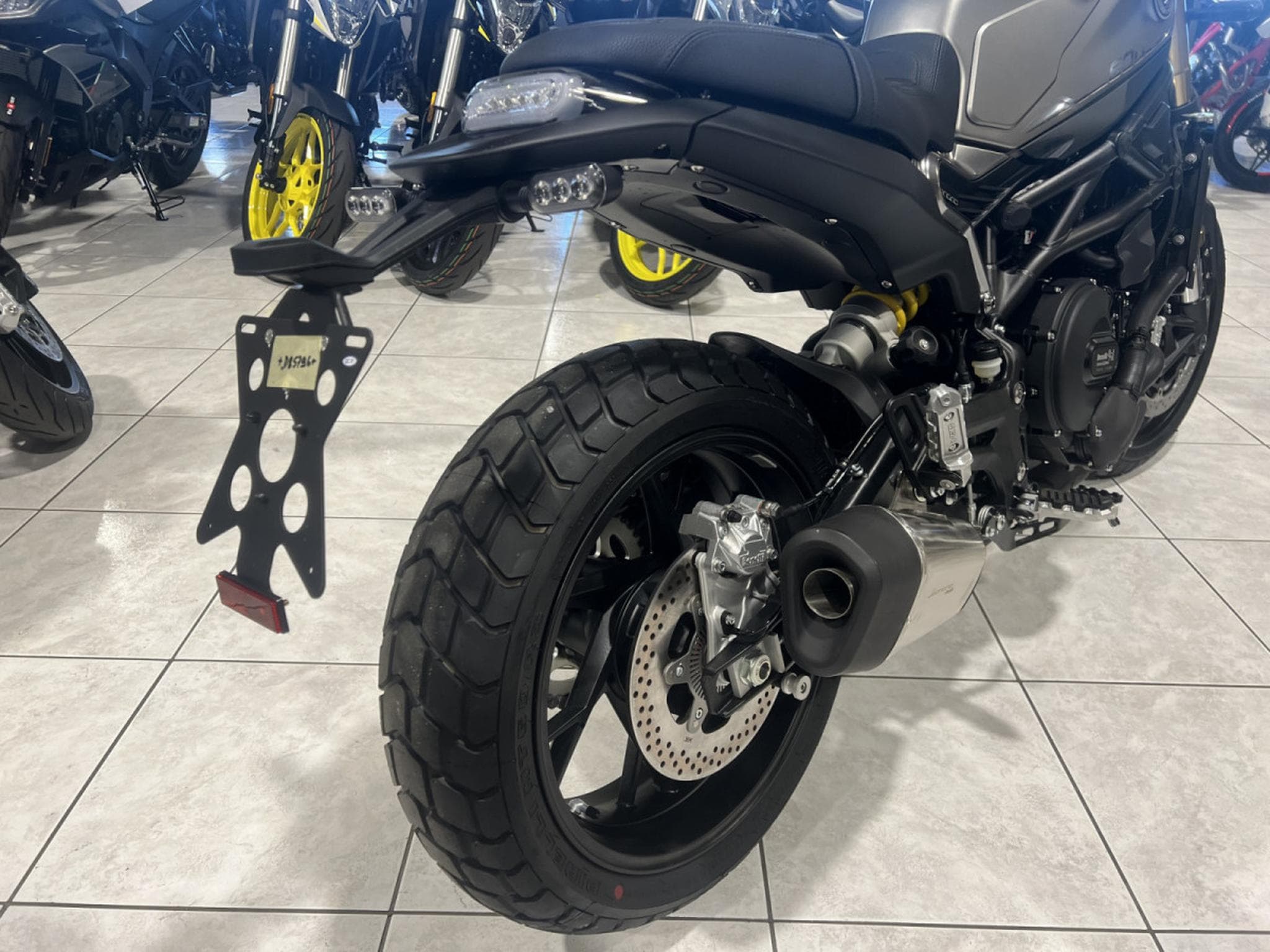 Benelli Leoncino 800 (2026) - Photo 3